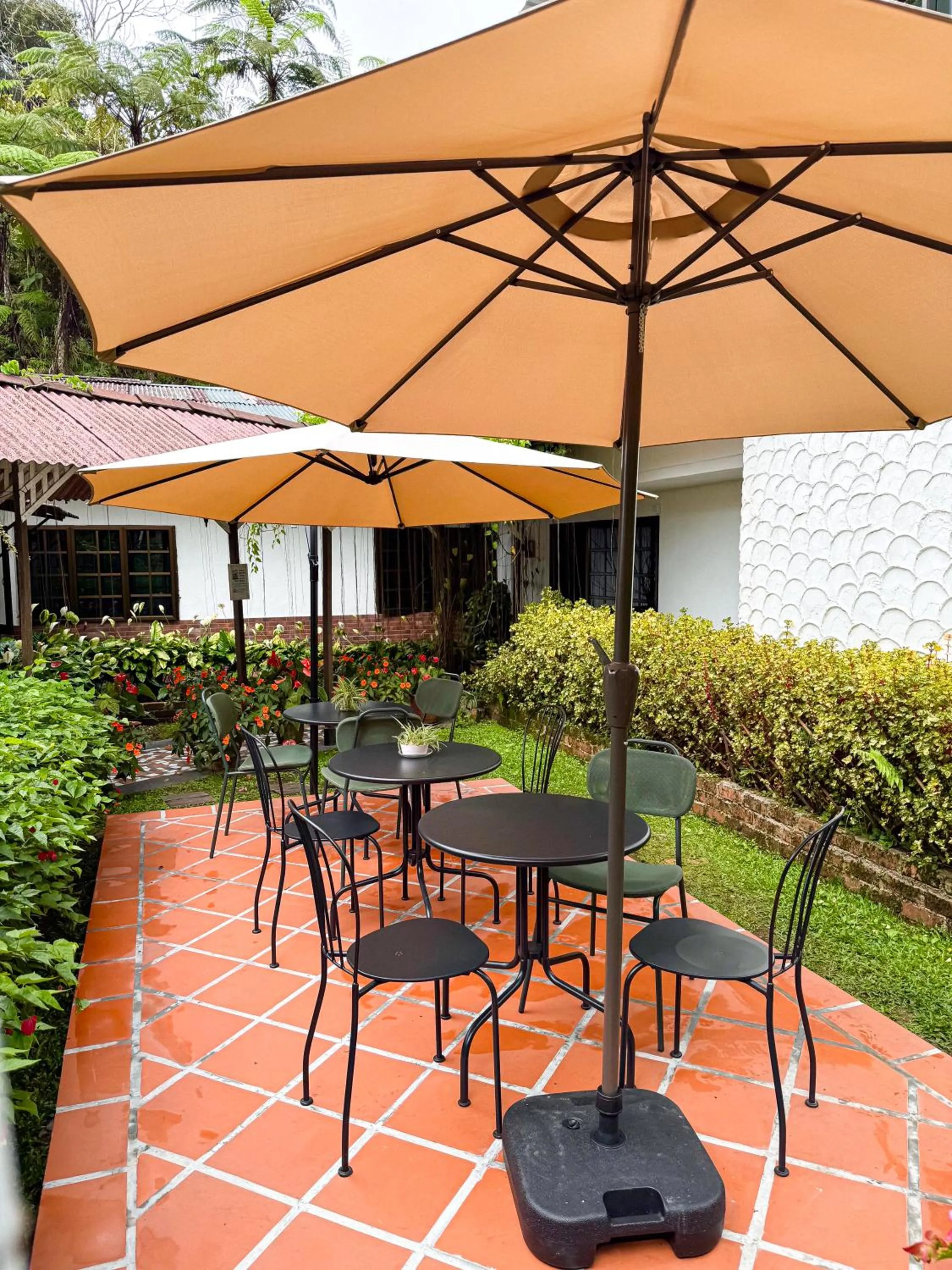 Patio in Cameronian Inn