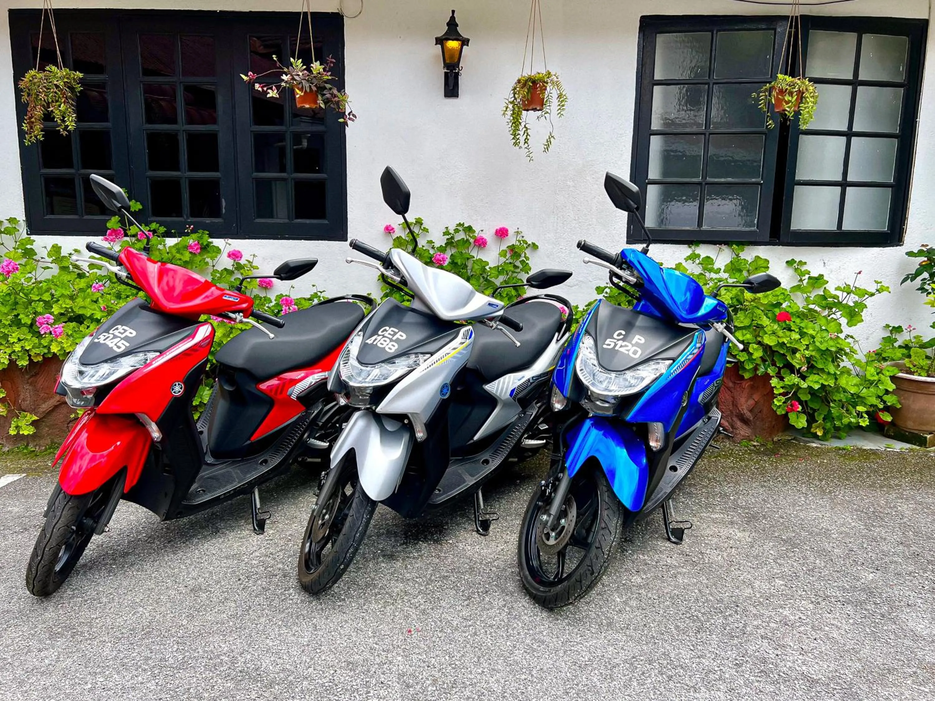 Property building in Cameronian Inn