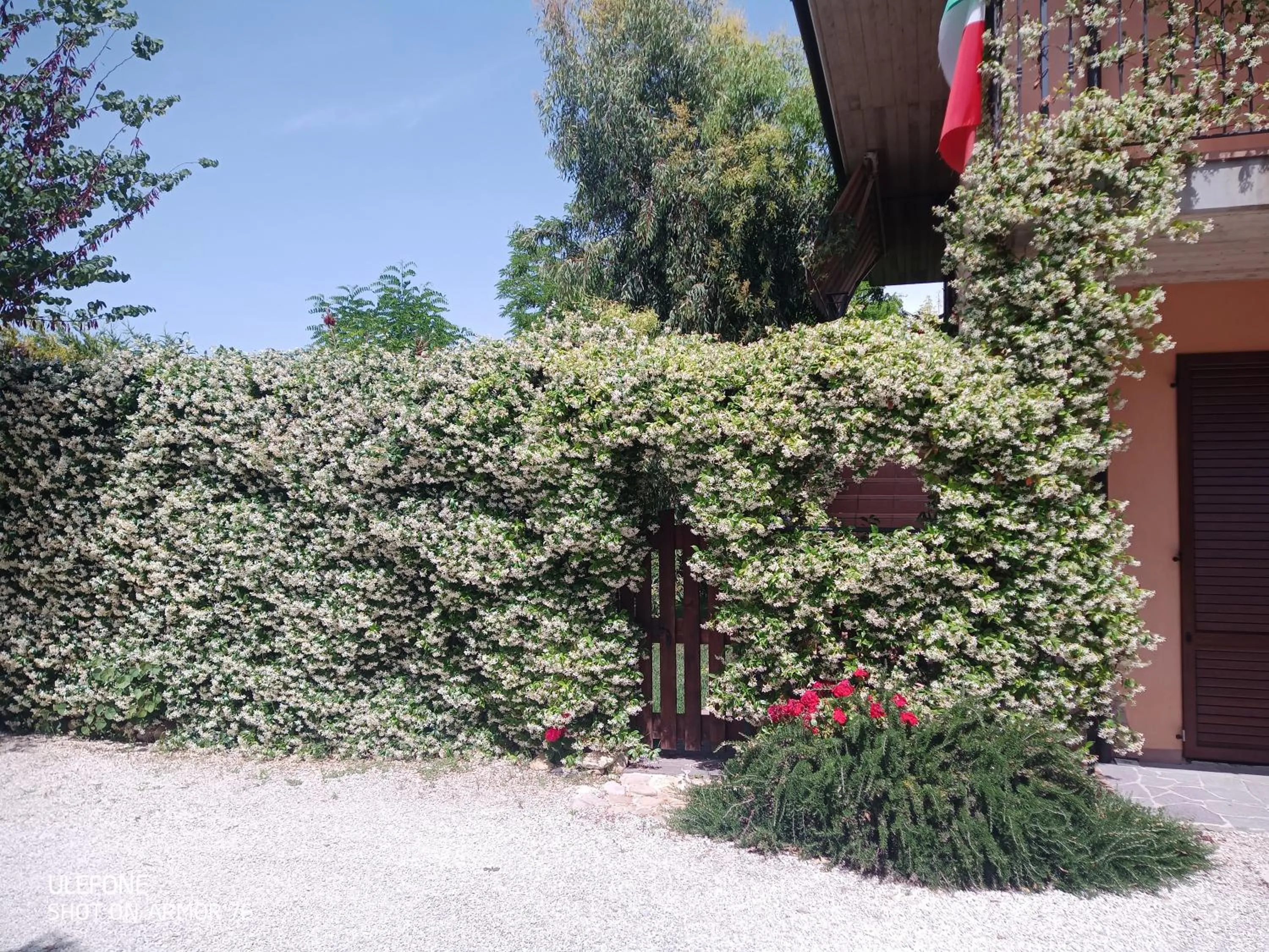 Property building in B&B La poeta