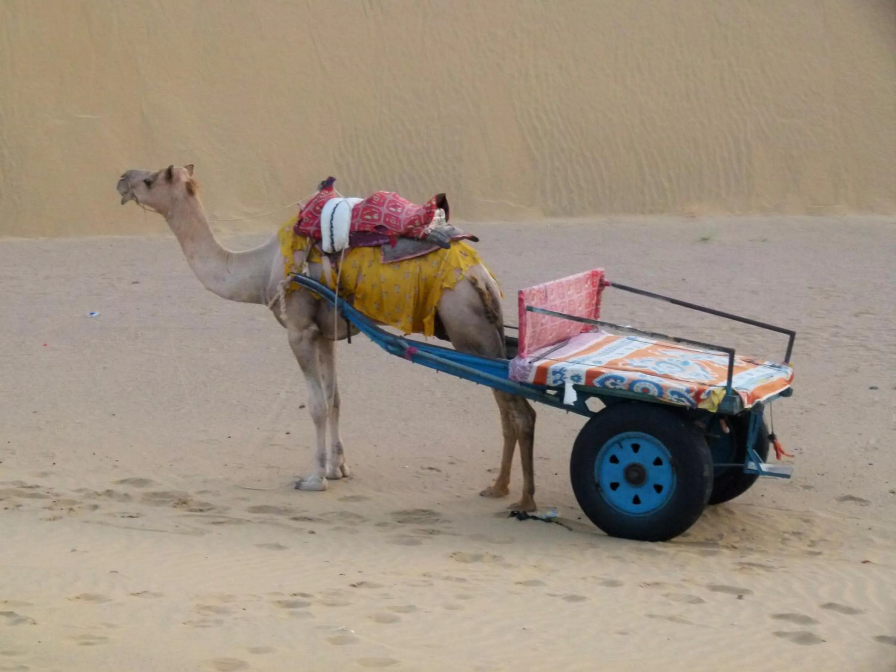 Entertainment in Gajanand Guest House