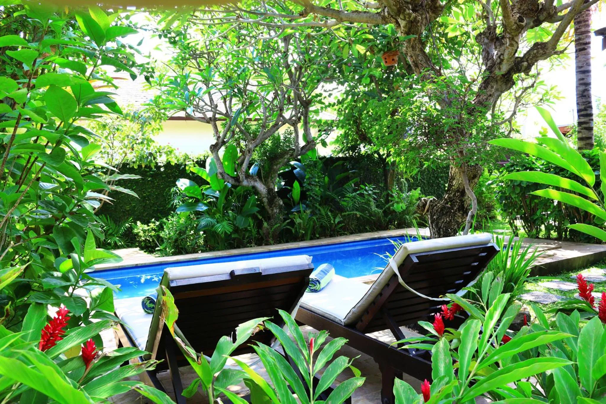Villa with Garden View in Lovina Beachhouse Villas