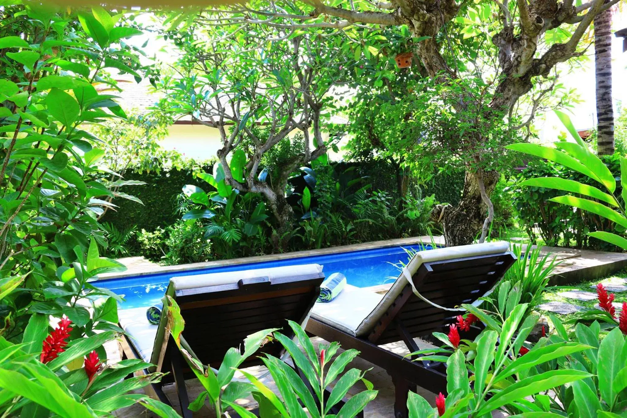 Villa with Garden View in Lovina Beachhouse Villas Villa with Garden View in Lovina Beachhouse Villas