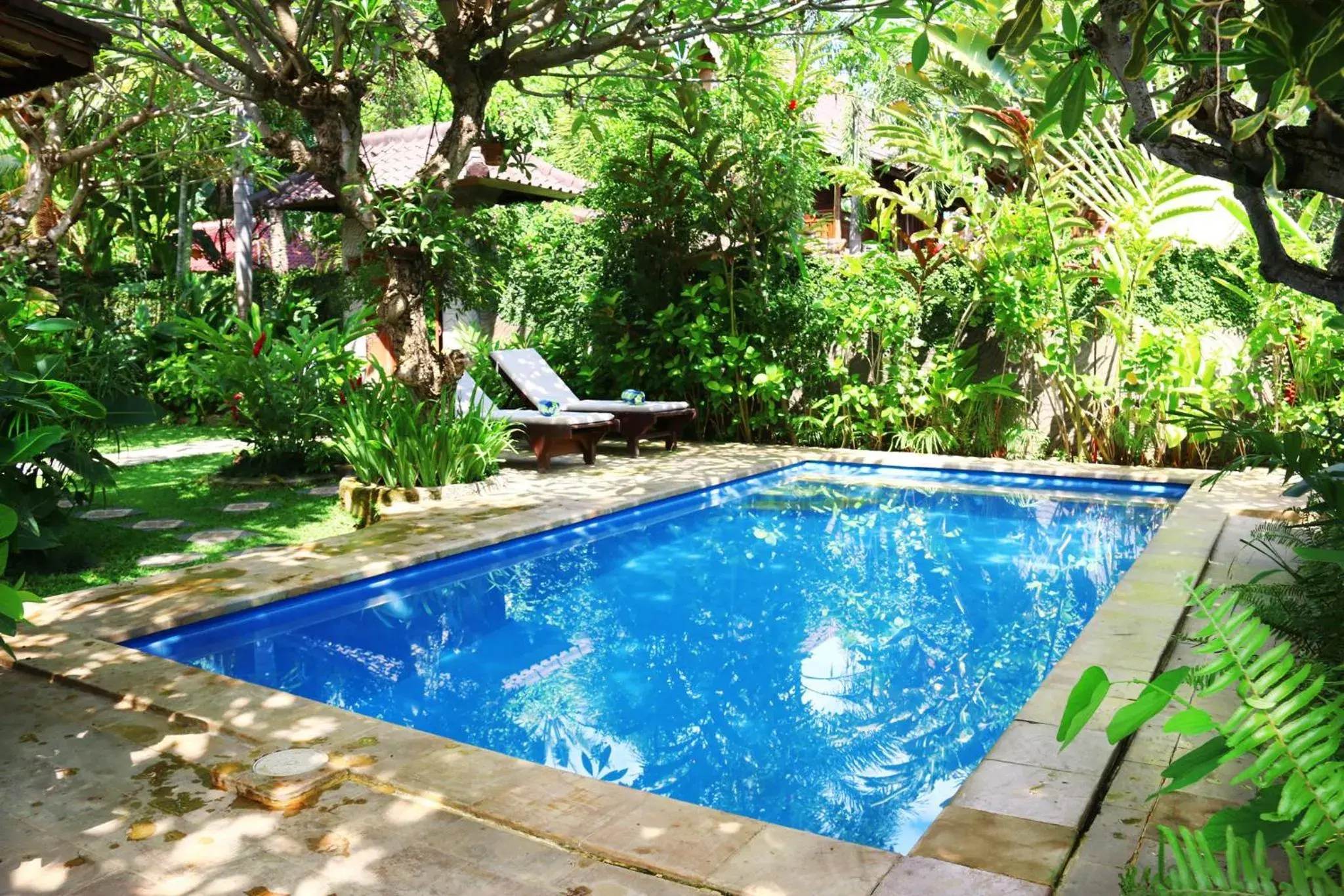 Villa with Garden View in Lovina Beachhouse Villas Villa with Garden View in Lovina Beachhouse Villas