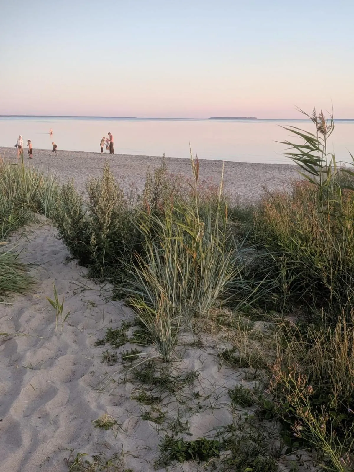 Neighbourhood in Ljungs Fem Rum