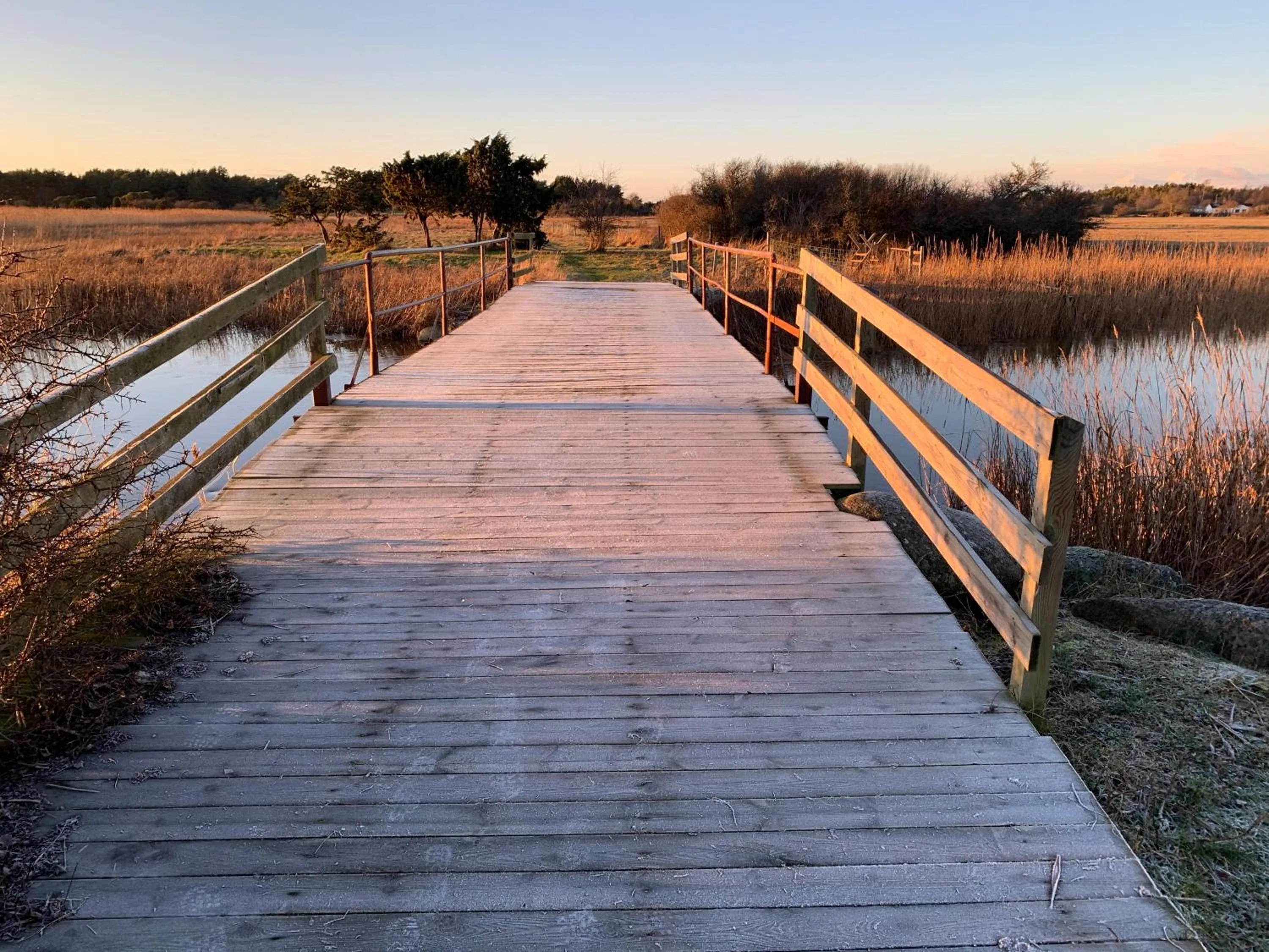 Nearby landmark in Ljungs Fem Rum