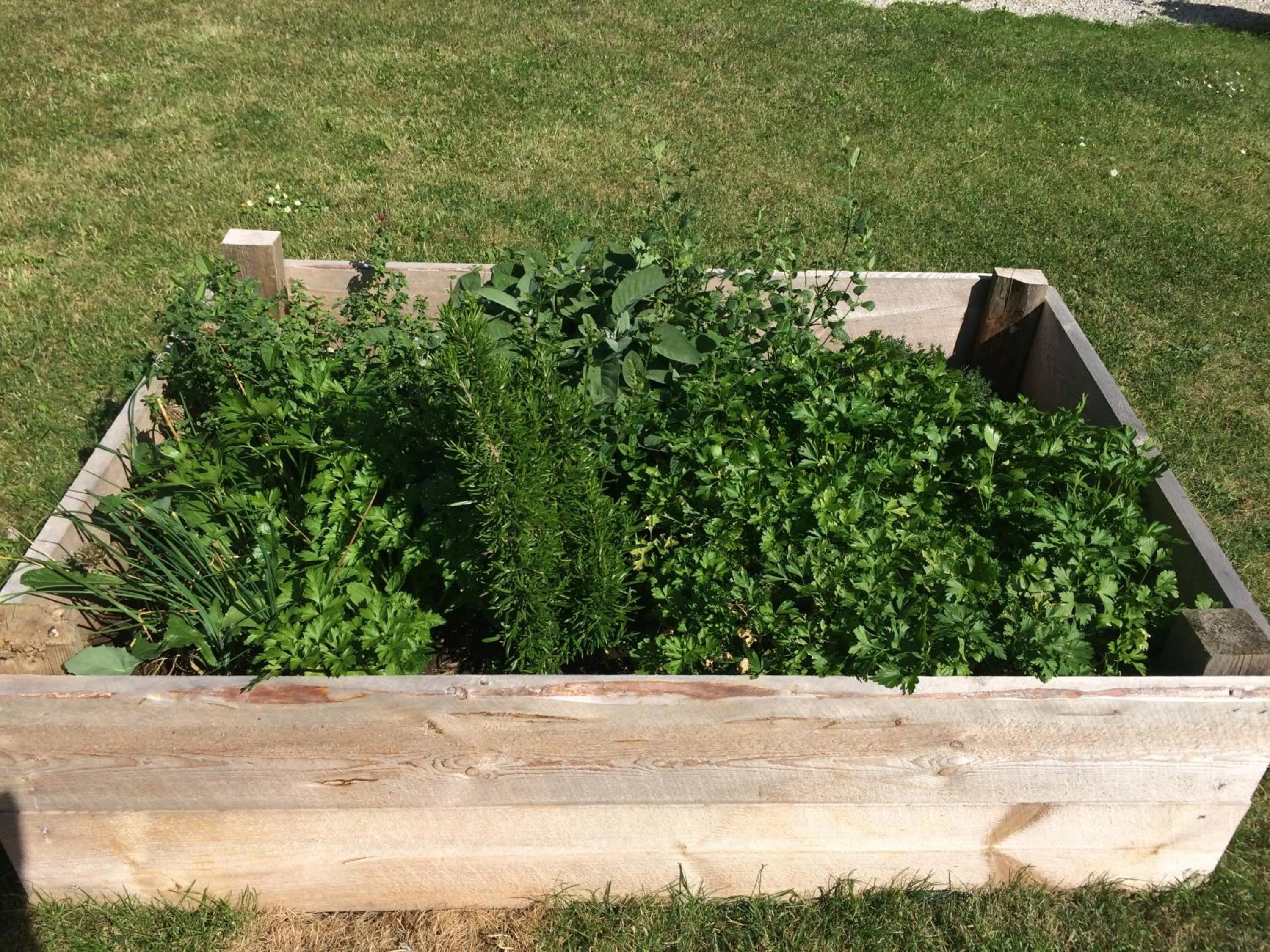 Area and facilities in Ljungs Fem Rum