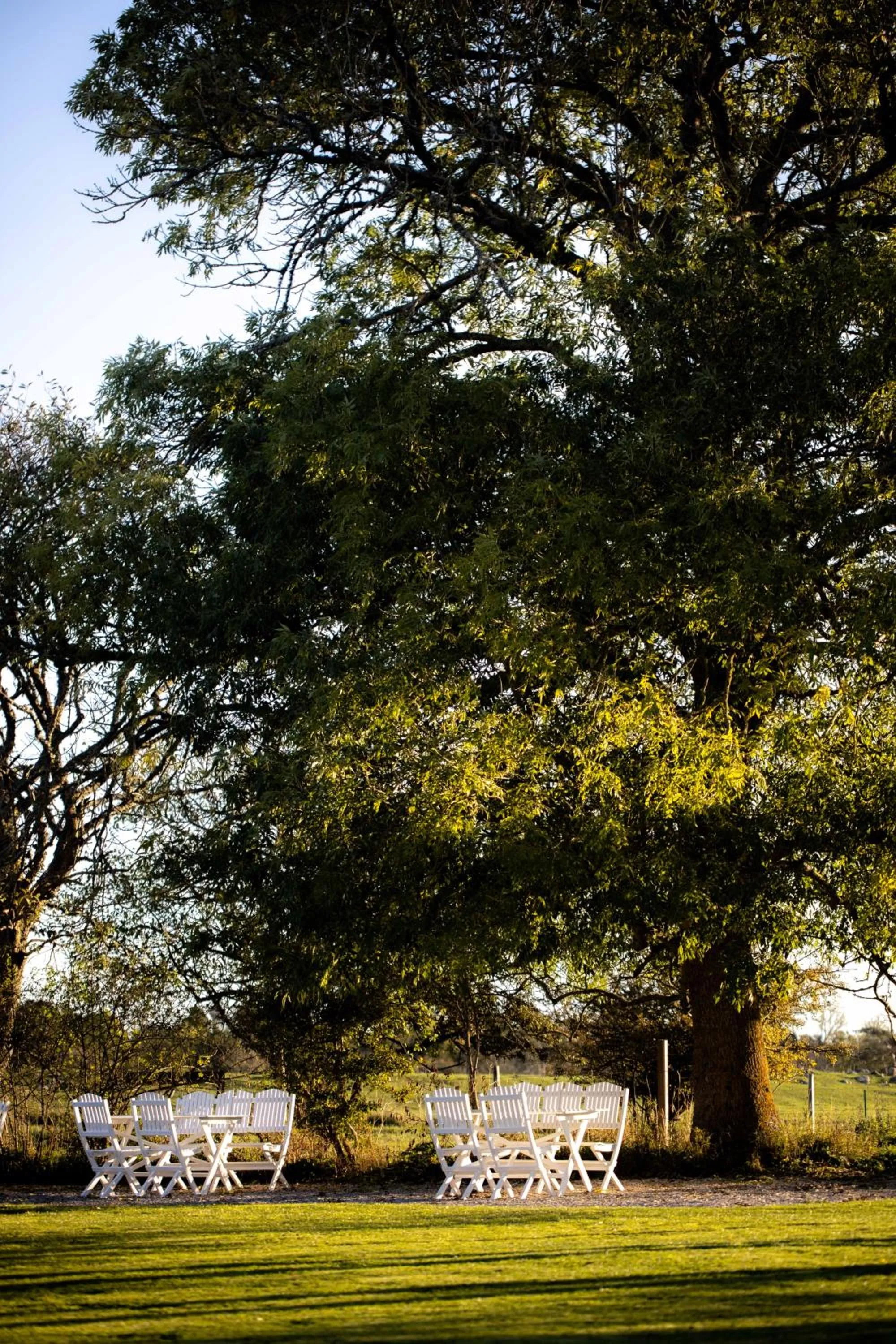 Patio in Ljungs Fem Rum