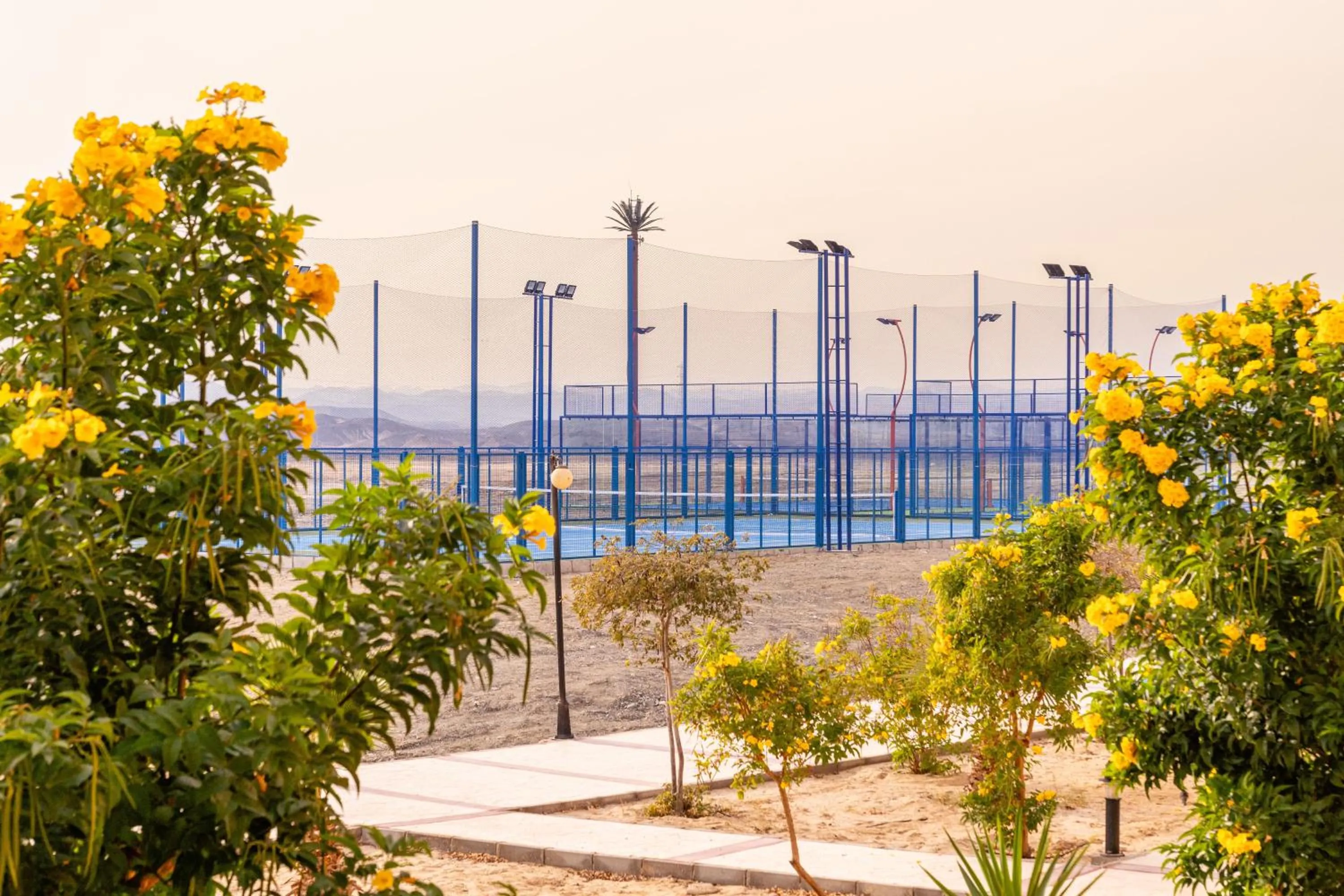 Activities in Malikia Resort Abu Dabbab