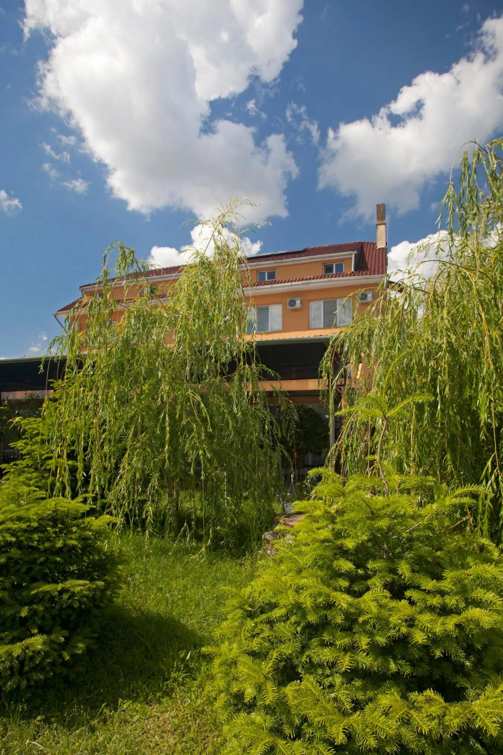 Day in Hotel Terra