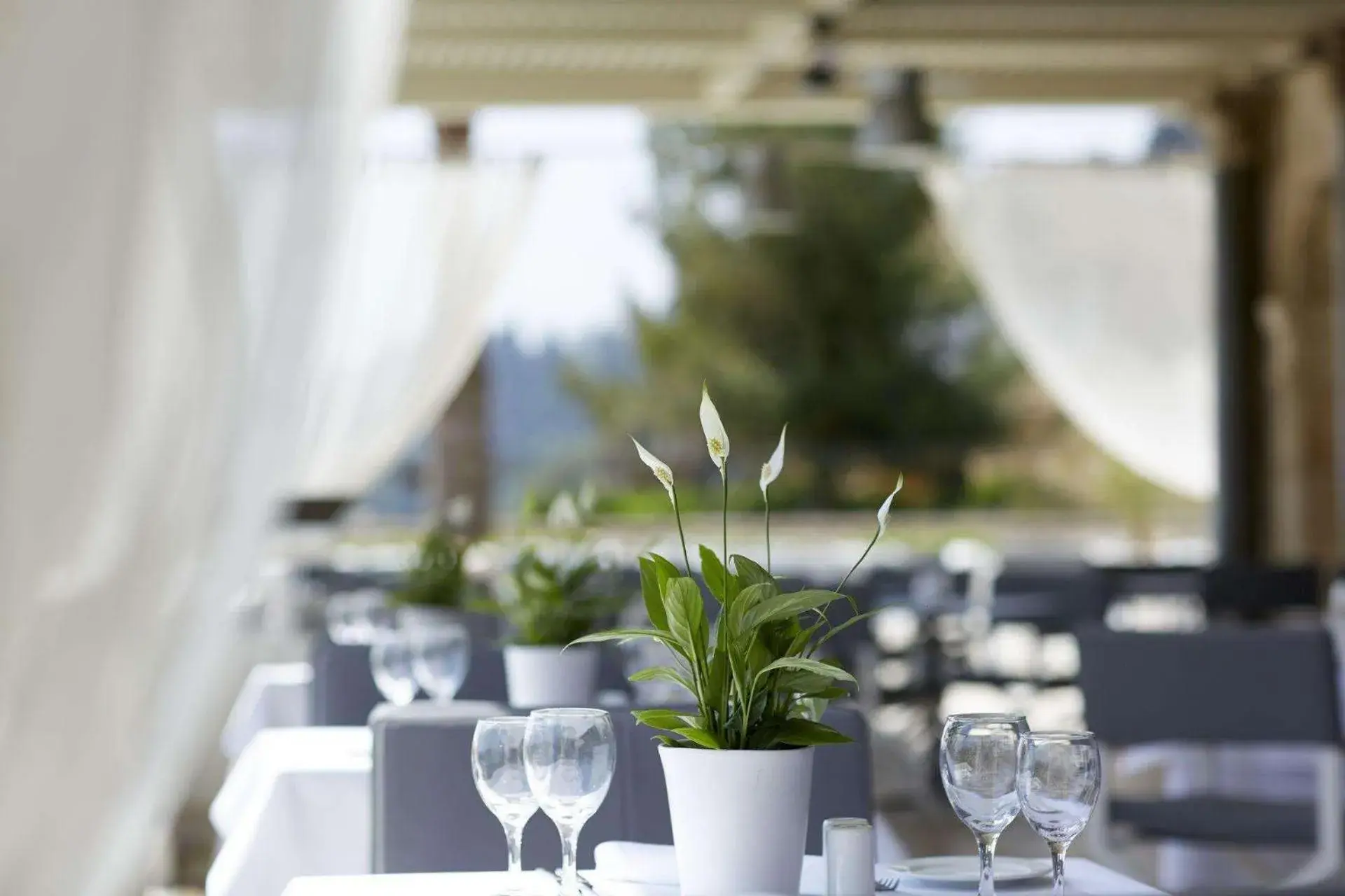 Restaurant/places to eat in Mon Repos Palace - Adults Only Restaurant/places to eat in Mon Repos Palace - Adults Only