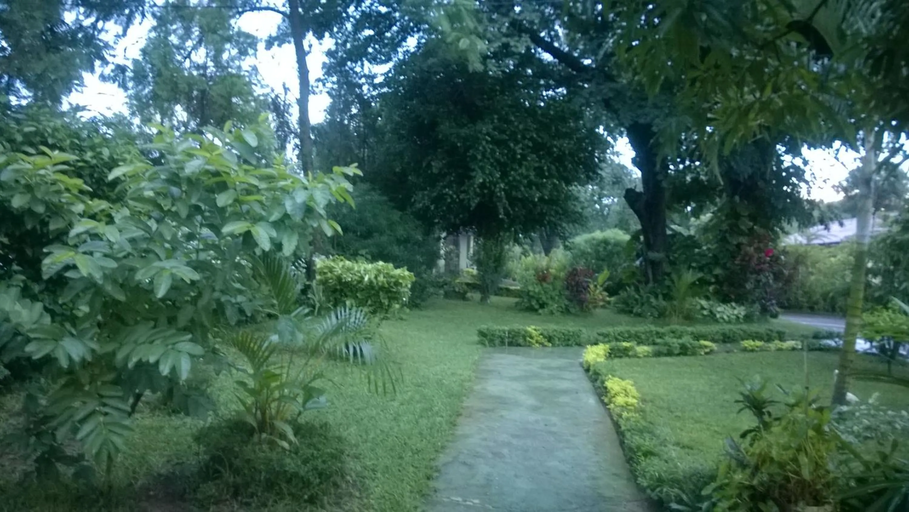 Garden view in Gloria's Bed and Breakfast