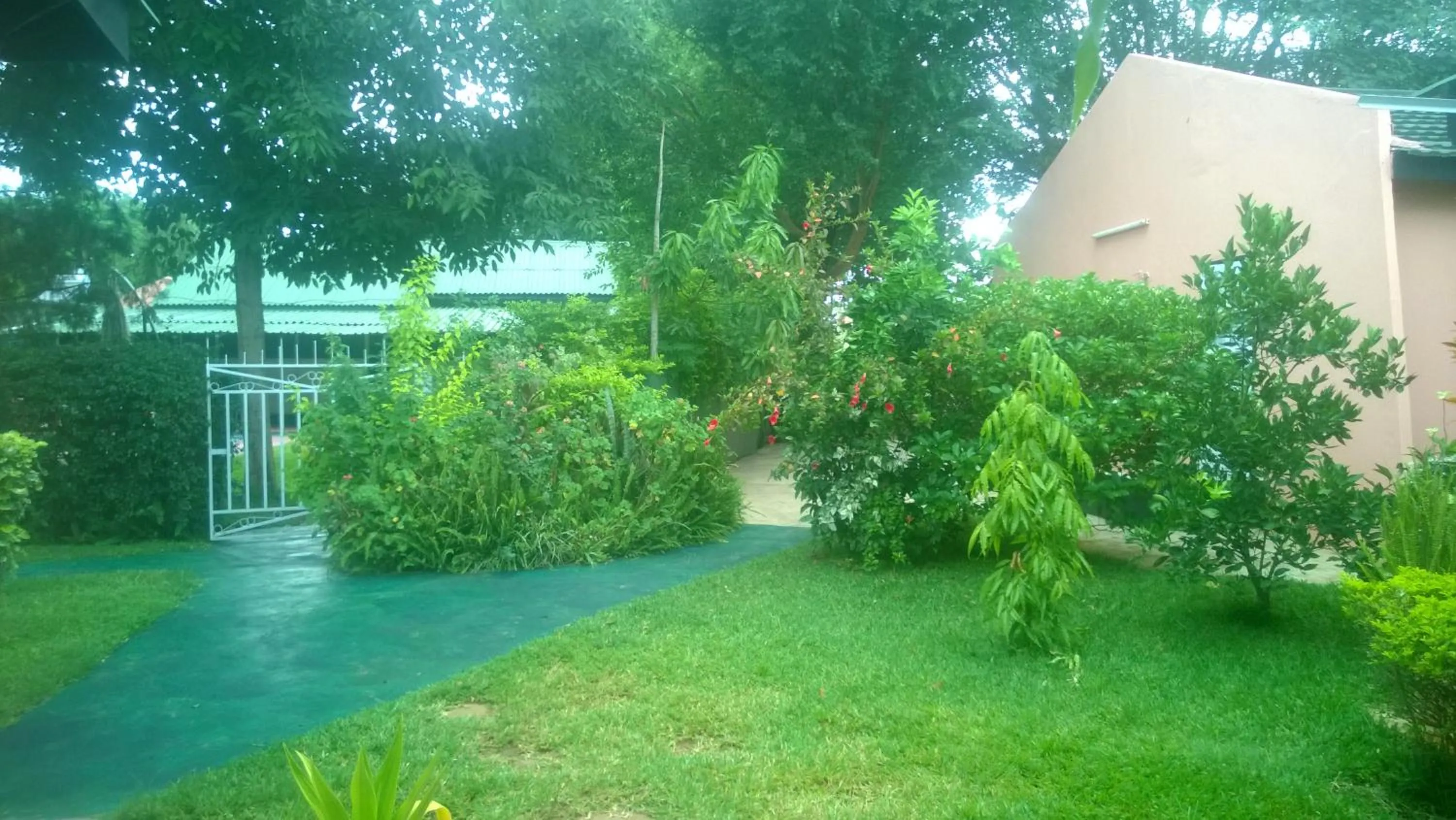 Property building in Gloria's Bed and Breakfast