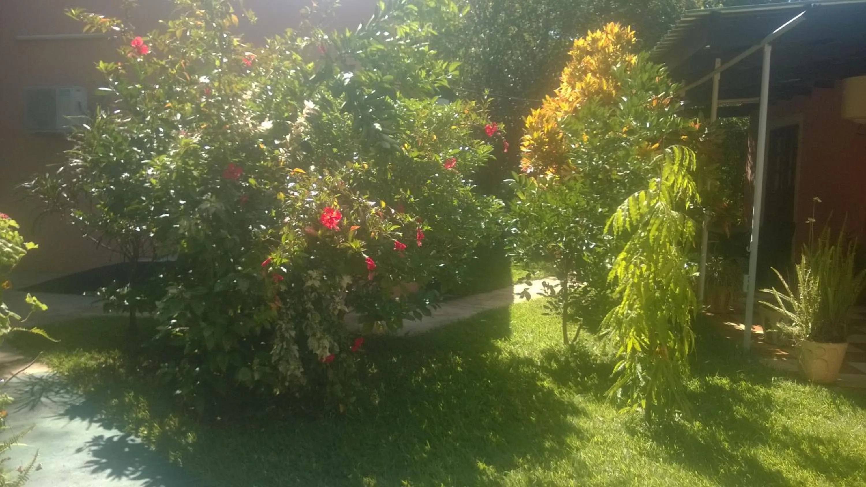 Garden in Gloria's Bed and Breakfast