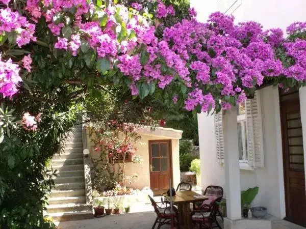 Plavi Žal Apartment Plavi Žal Apartment