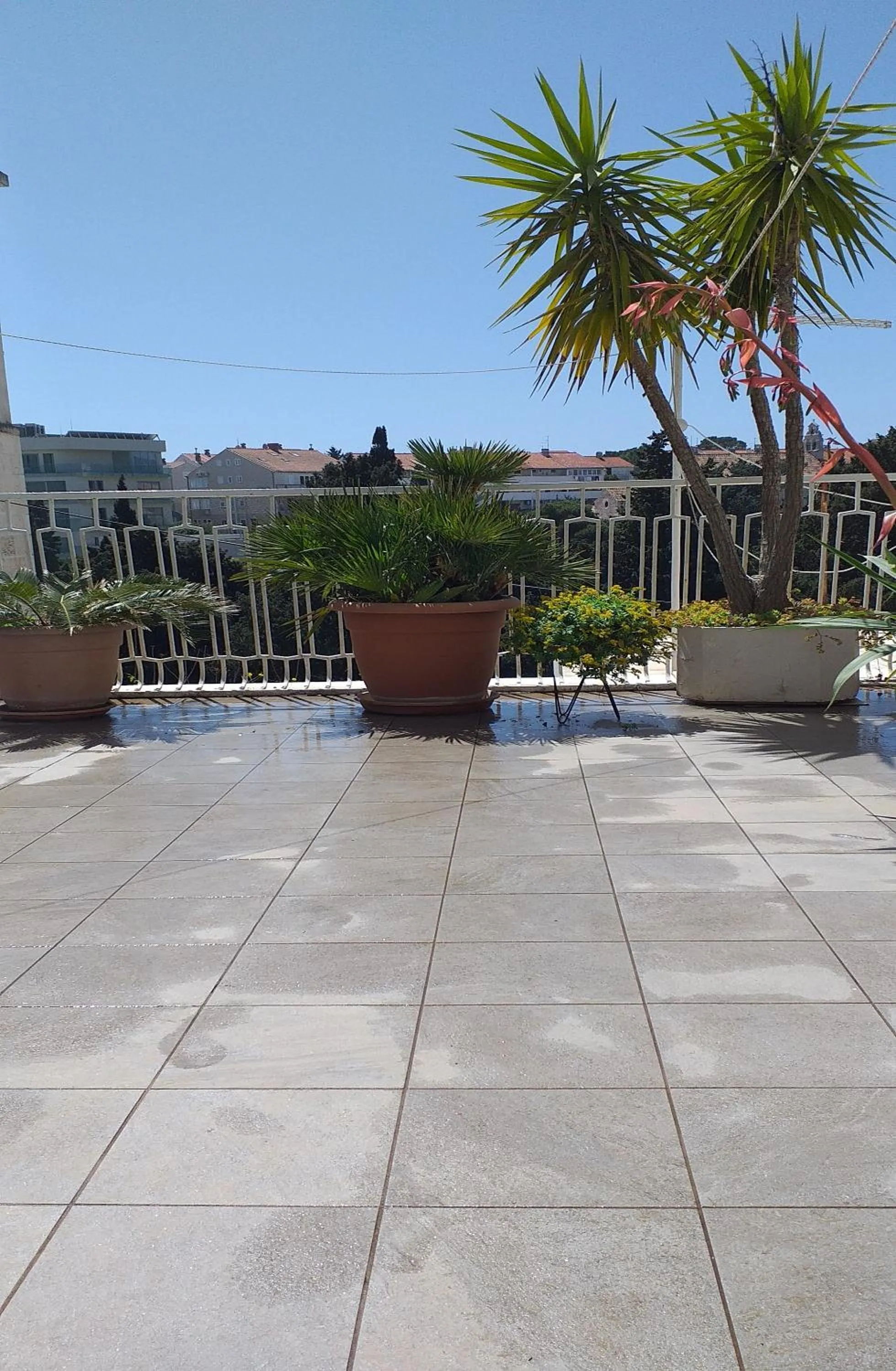 Balcony/Terrace in Plavi Žal Apartment