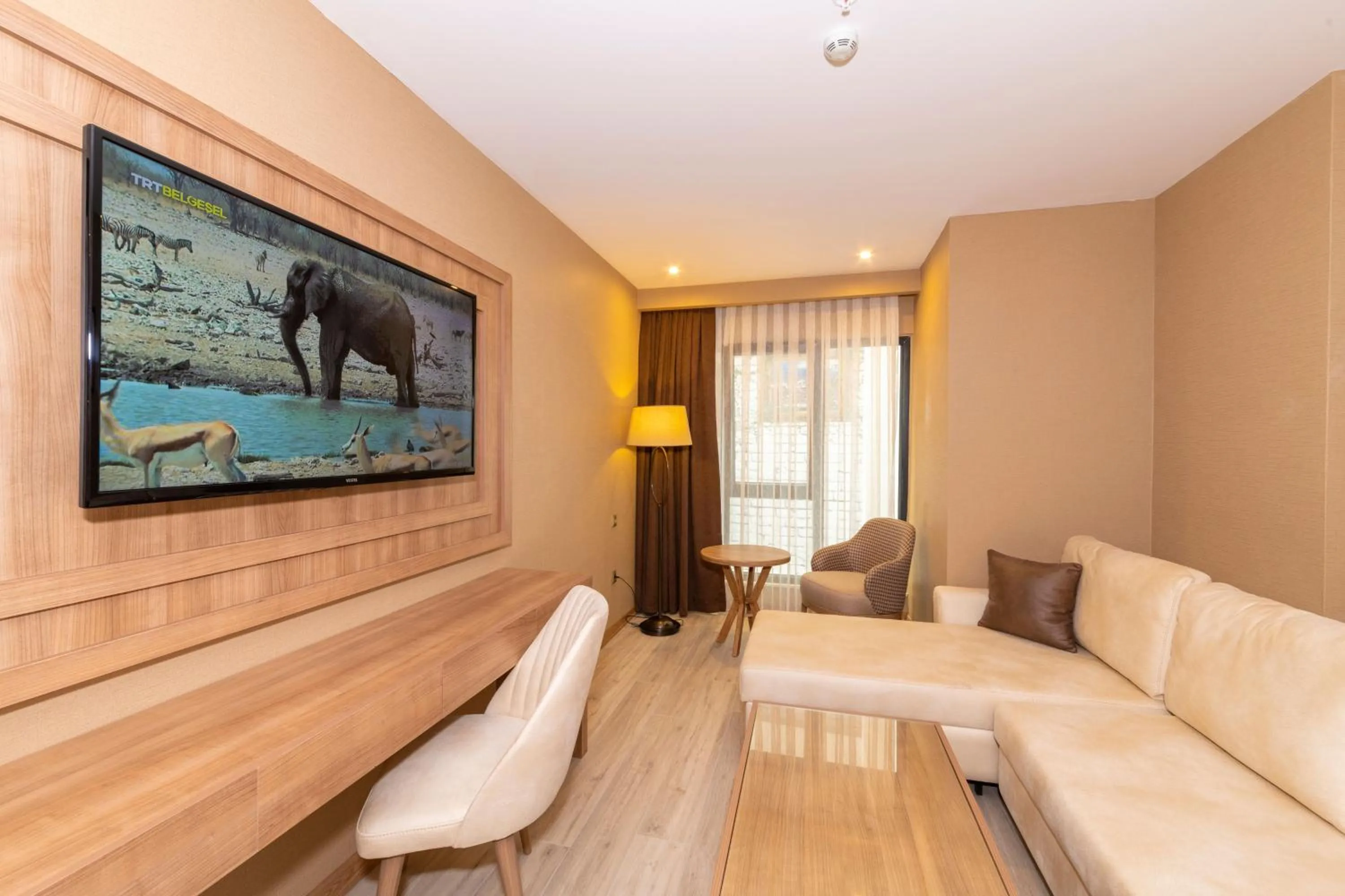 Communal lounge/ TV room in 38 Hotel