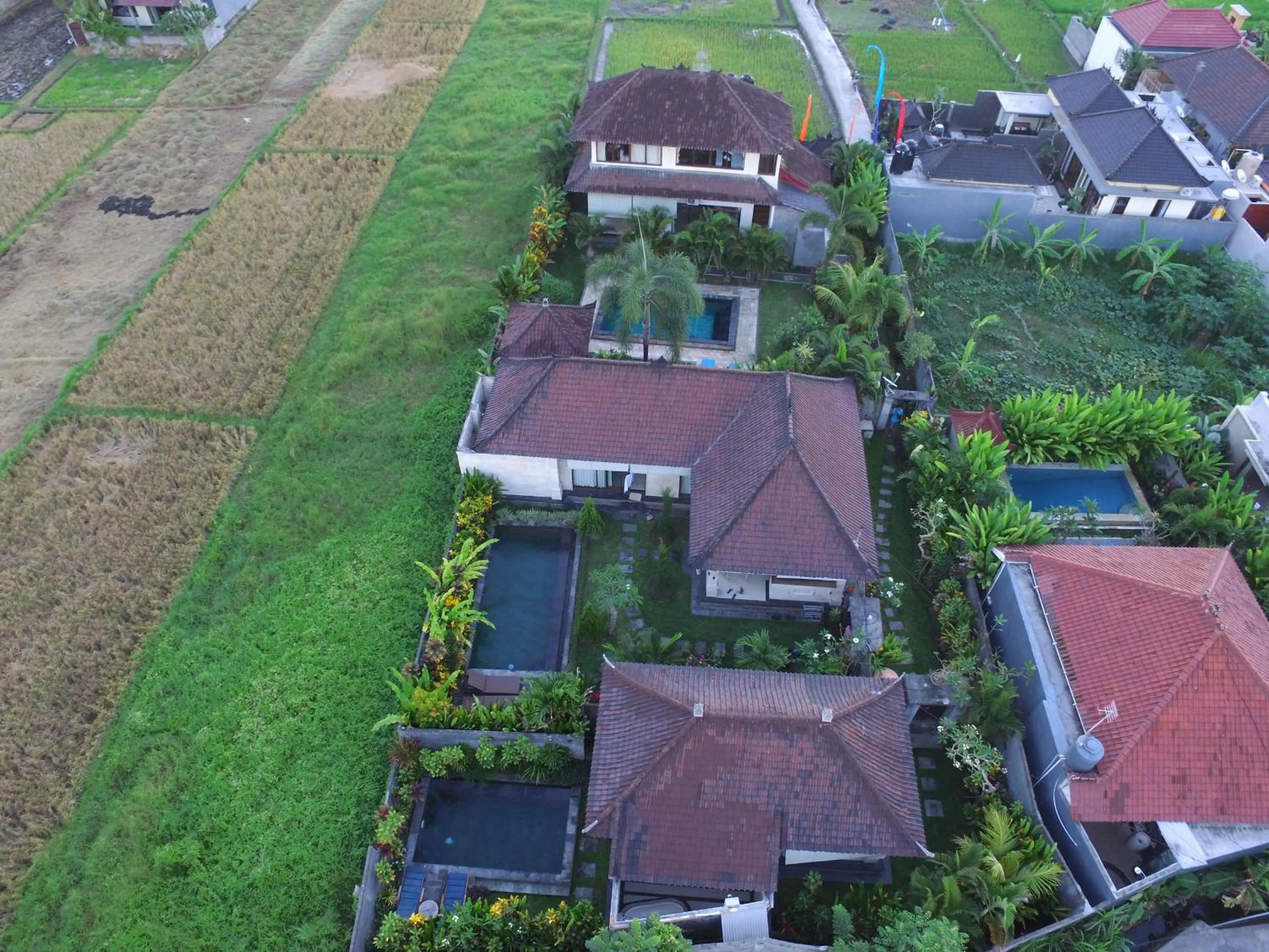 Property building in Pondok Naya Ubud