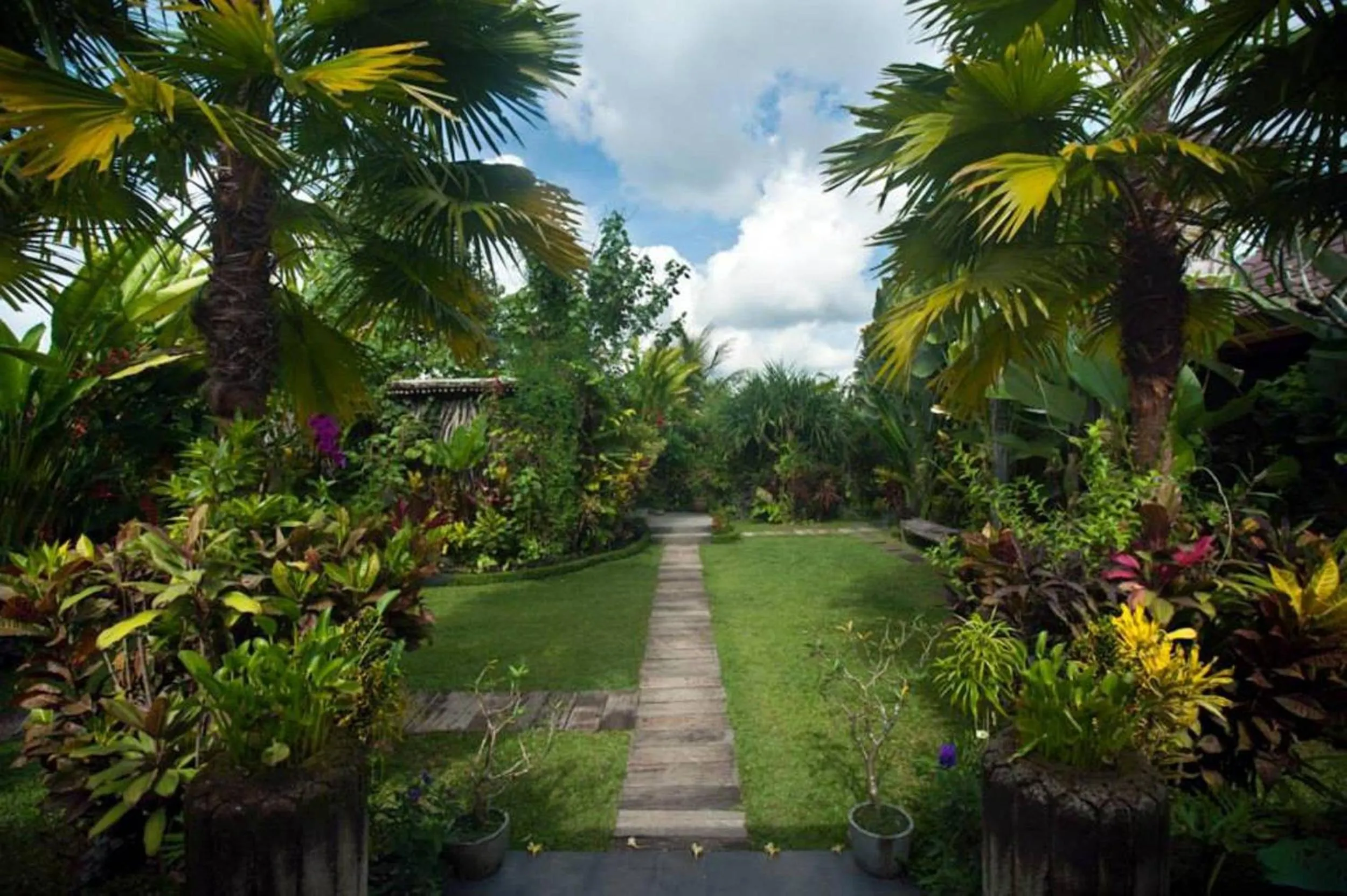 View (from property/room) in Naya Ubud