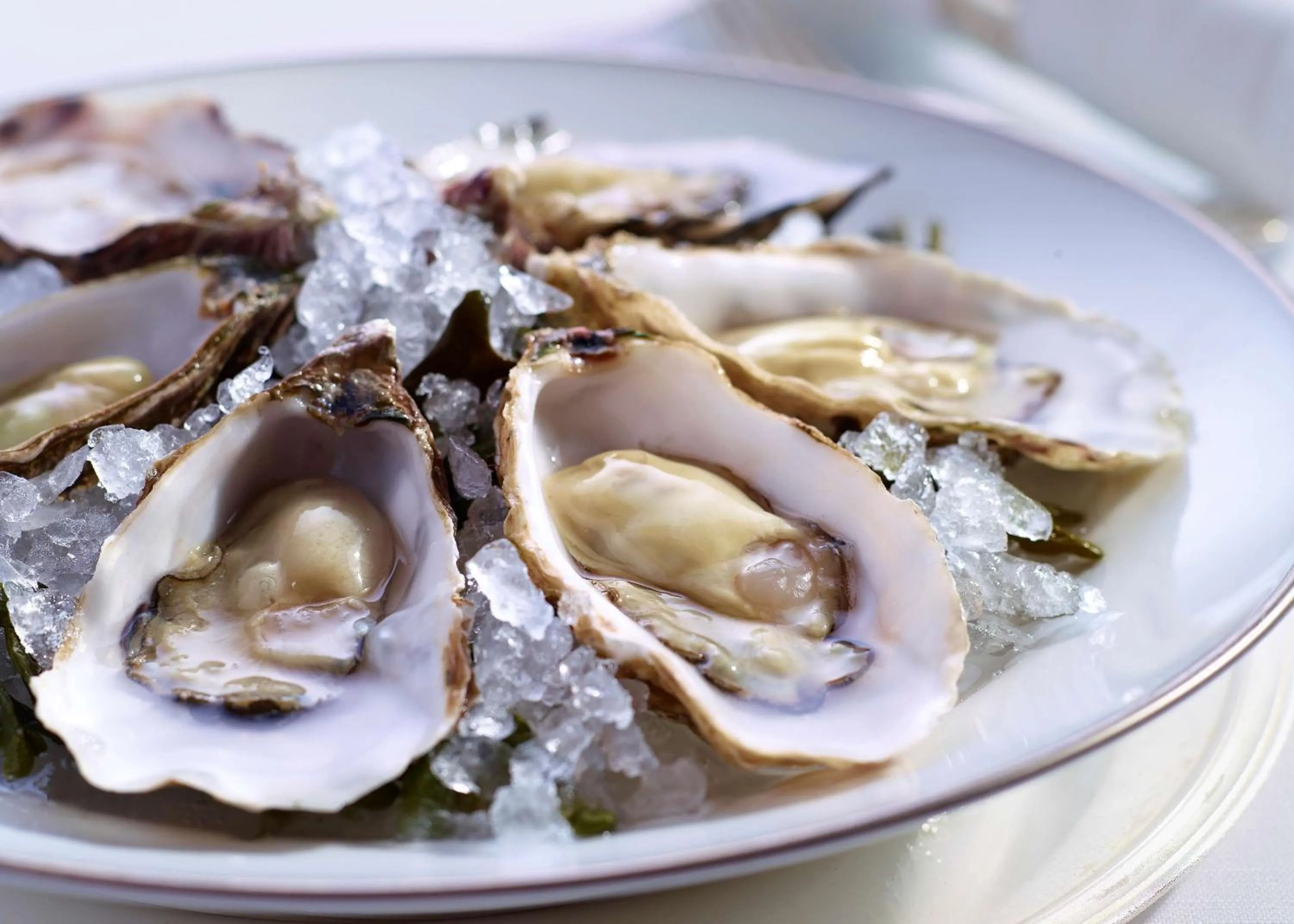 Restaurant/places to eat in Hyatt Regency Hong Kong Tsim Sha Tsui