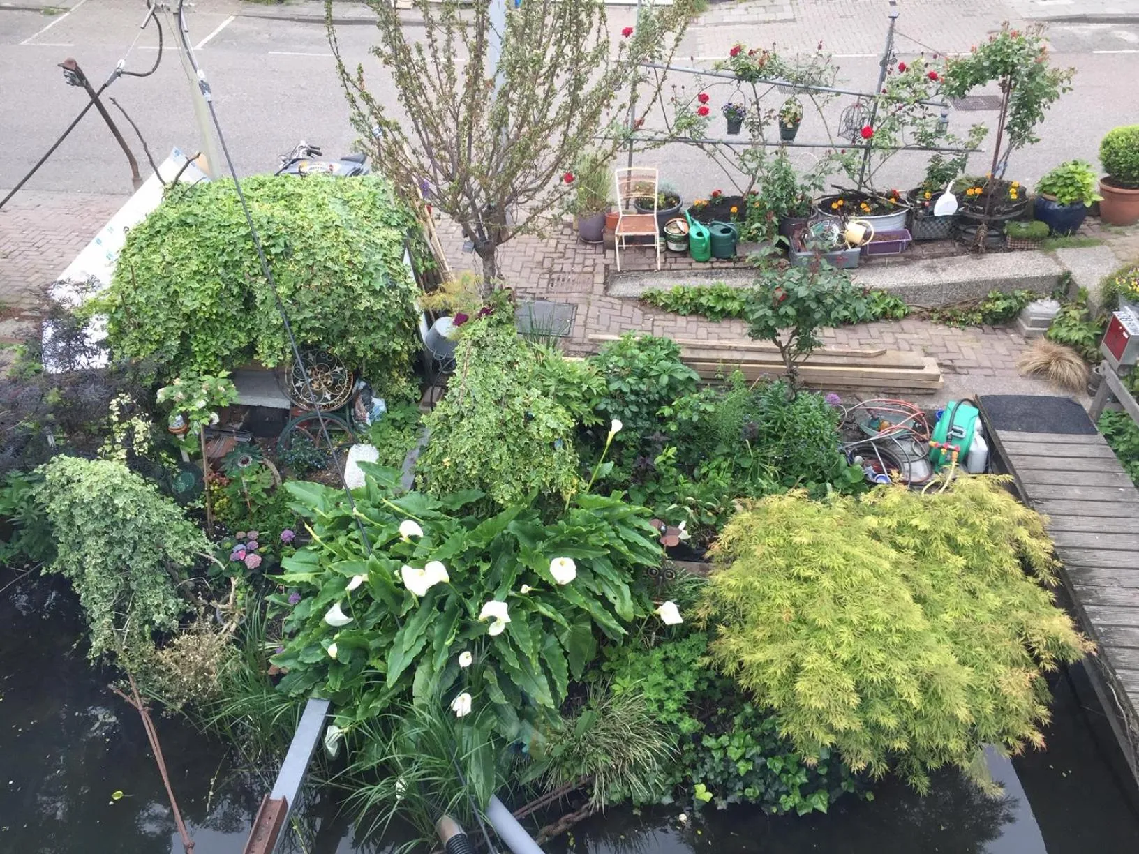 Garden view in Reiwa