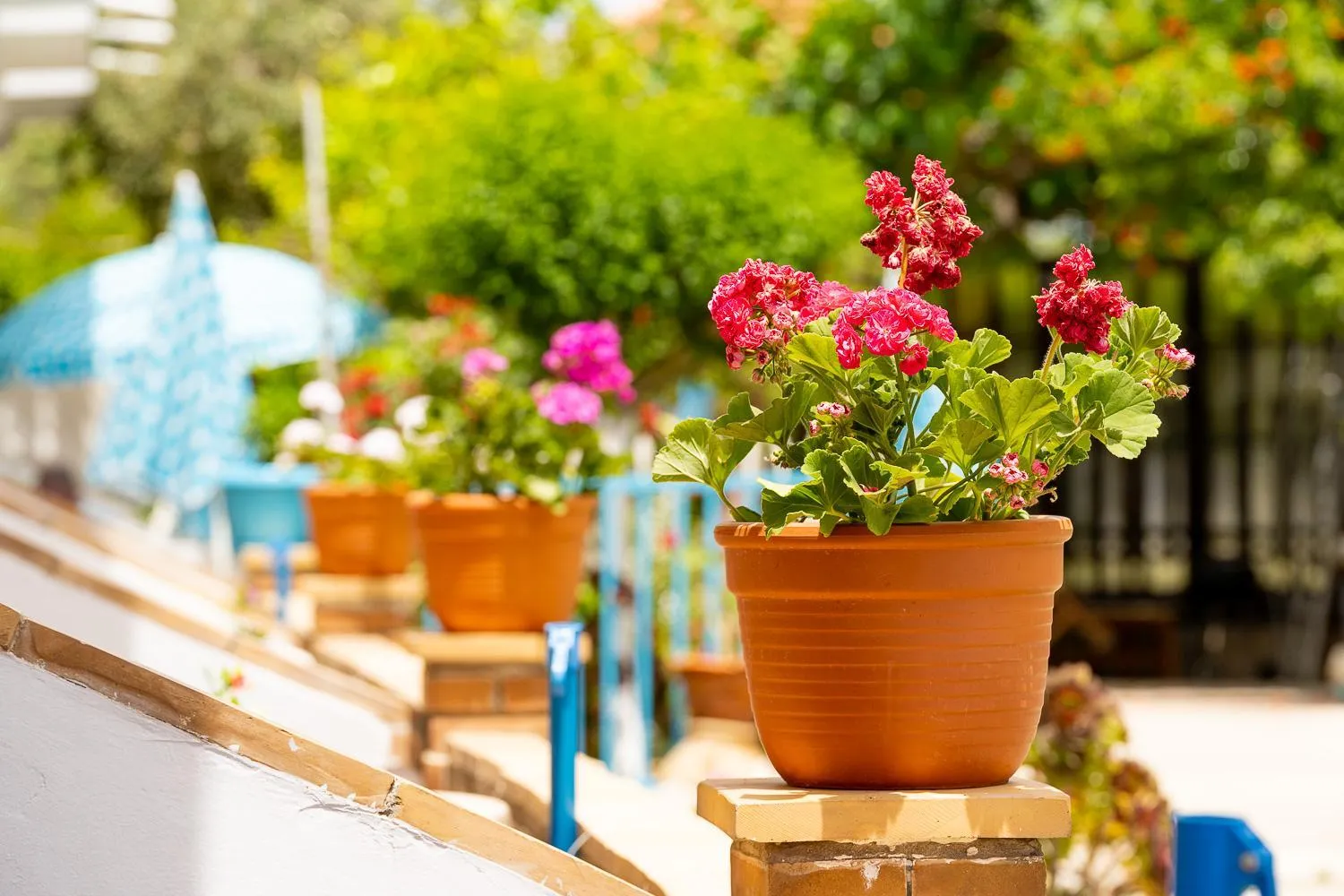 Patio in Asteri Studios