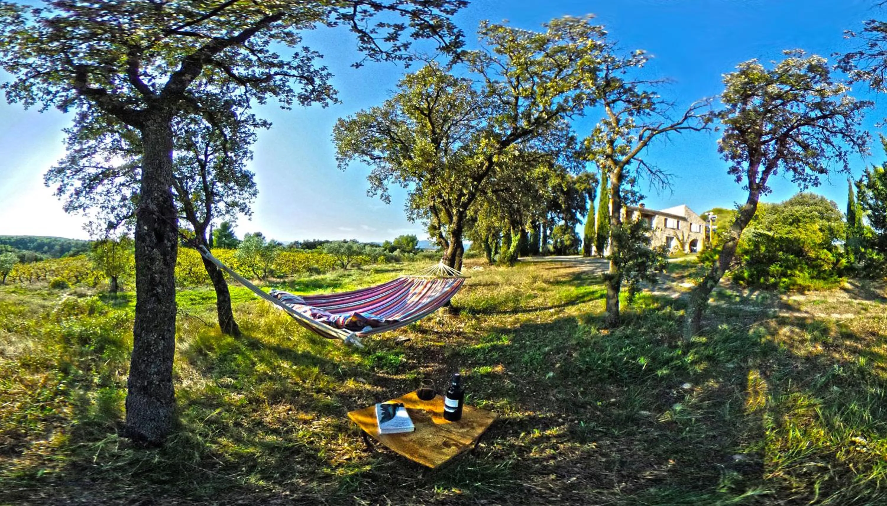 Lounge or bar in Maison Catalina