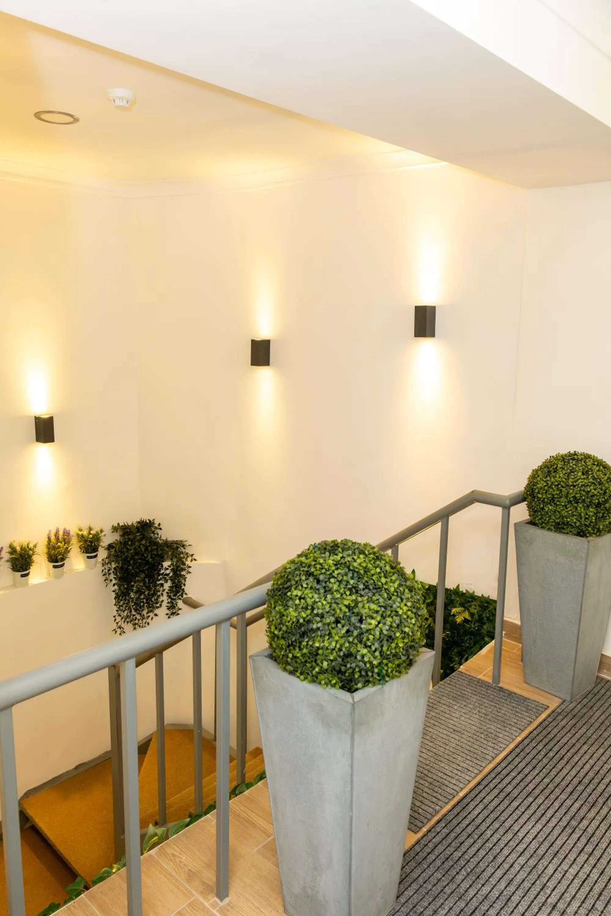 Decorative detail in Inn Bairro Alto BA Sweet