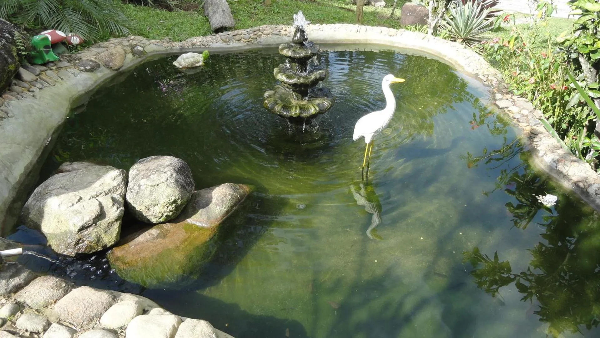 Animals in Pousada Chácara do Rio