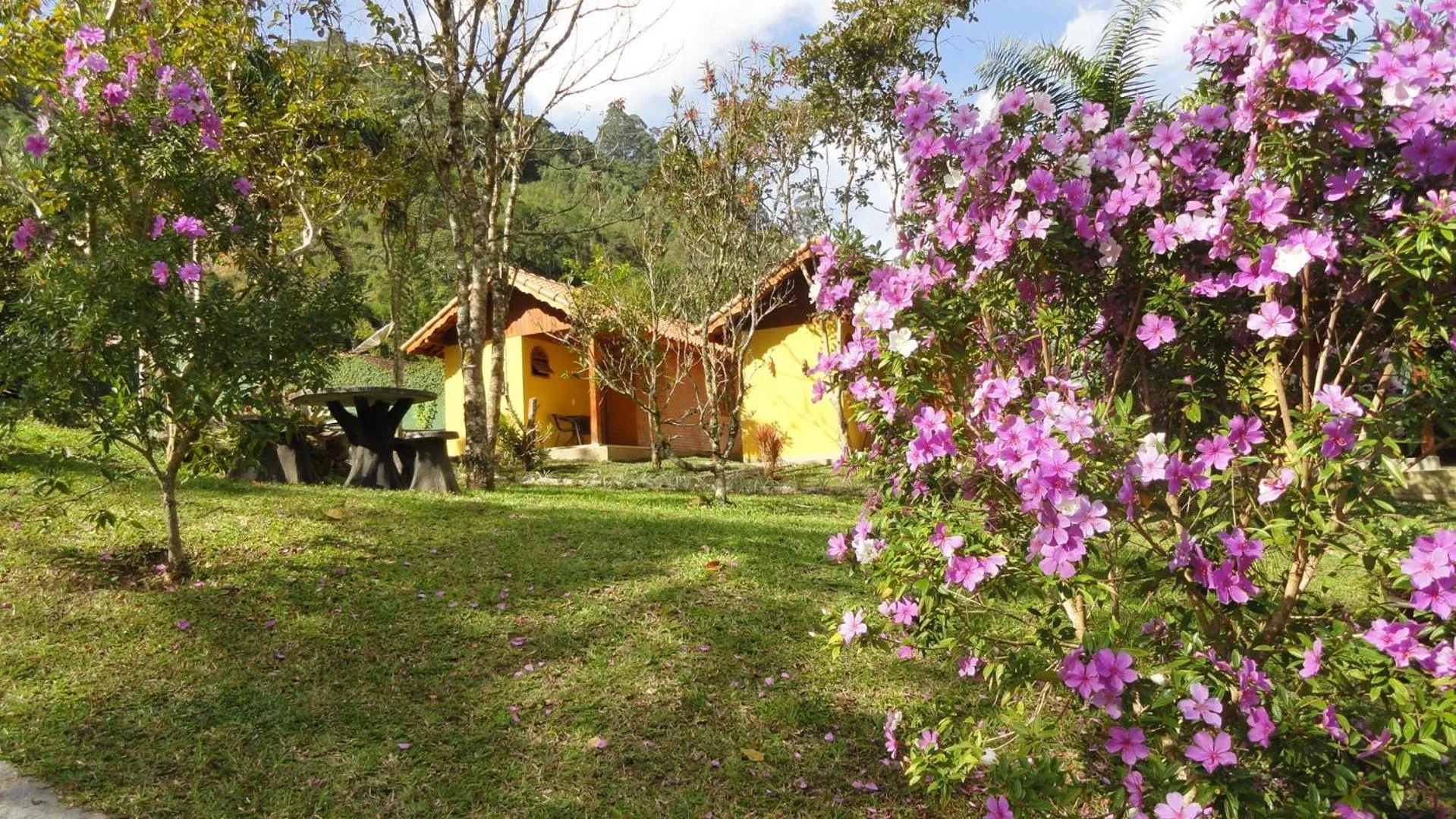 Garden in Pousada Chácara do Rio
