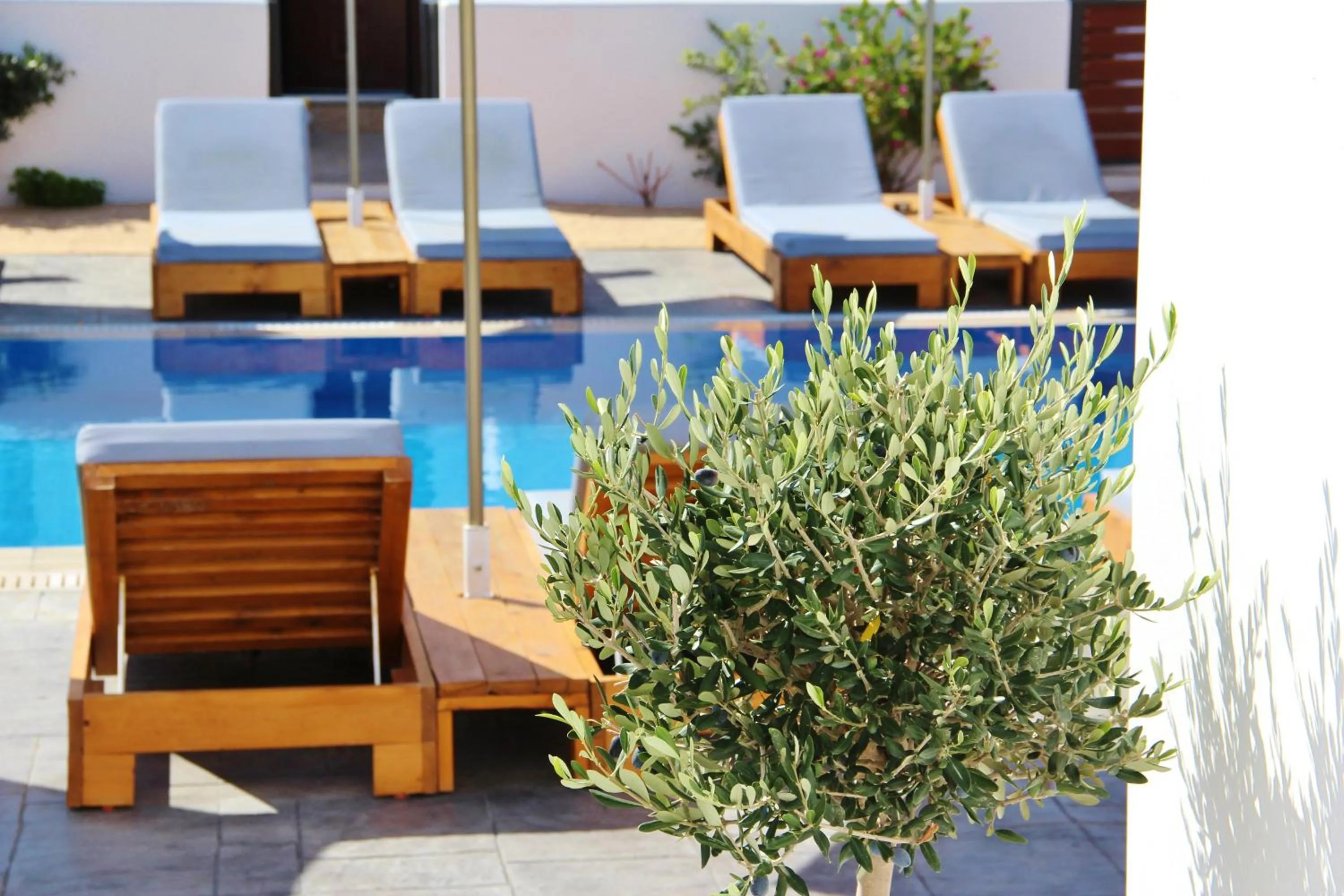 Patio in Ifestos Villa