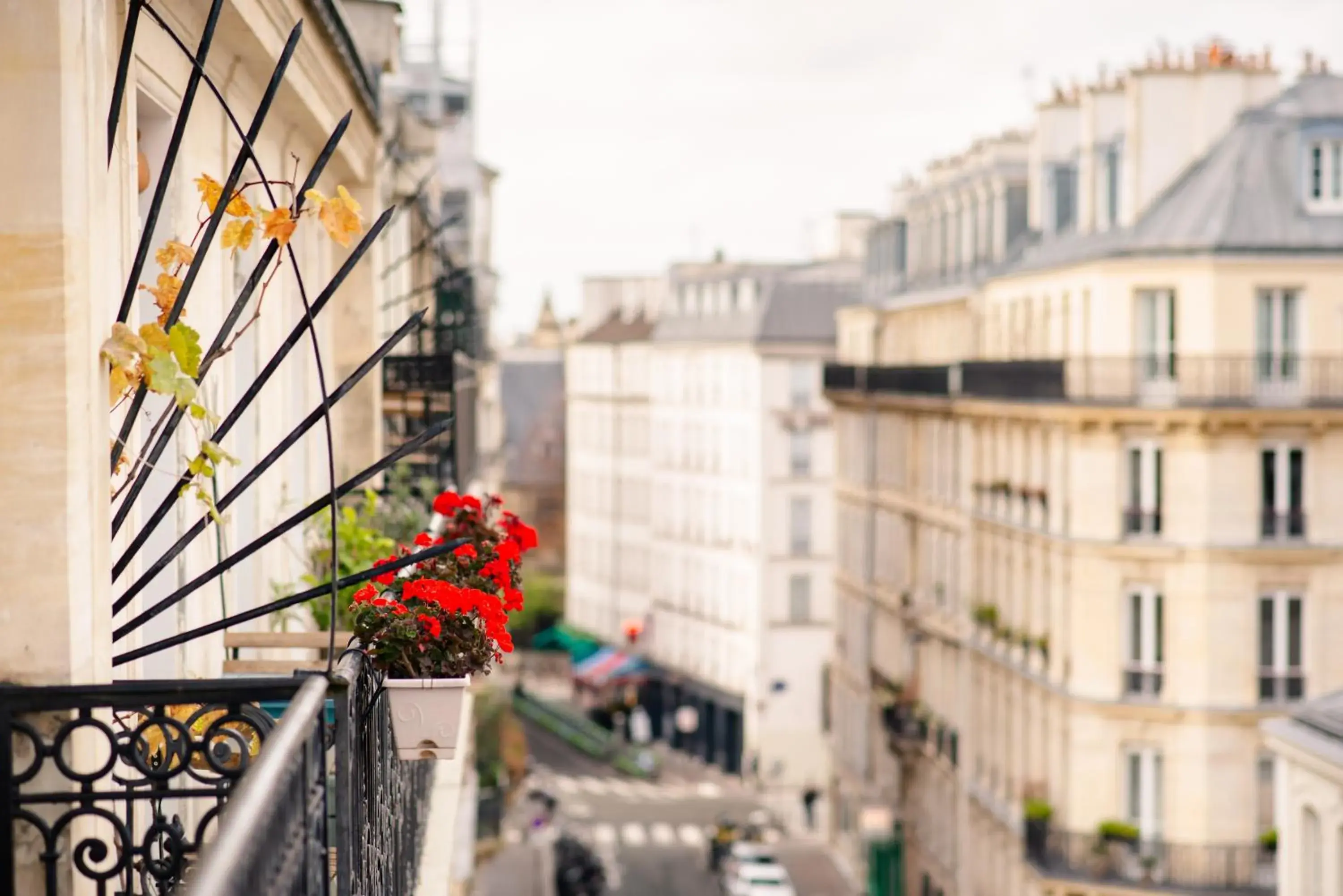 Property building in Hôtel Jardin de Cluny Property building in Hôtel Jardin de Cluny