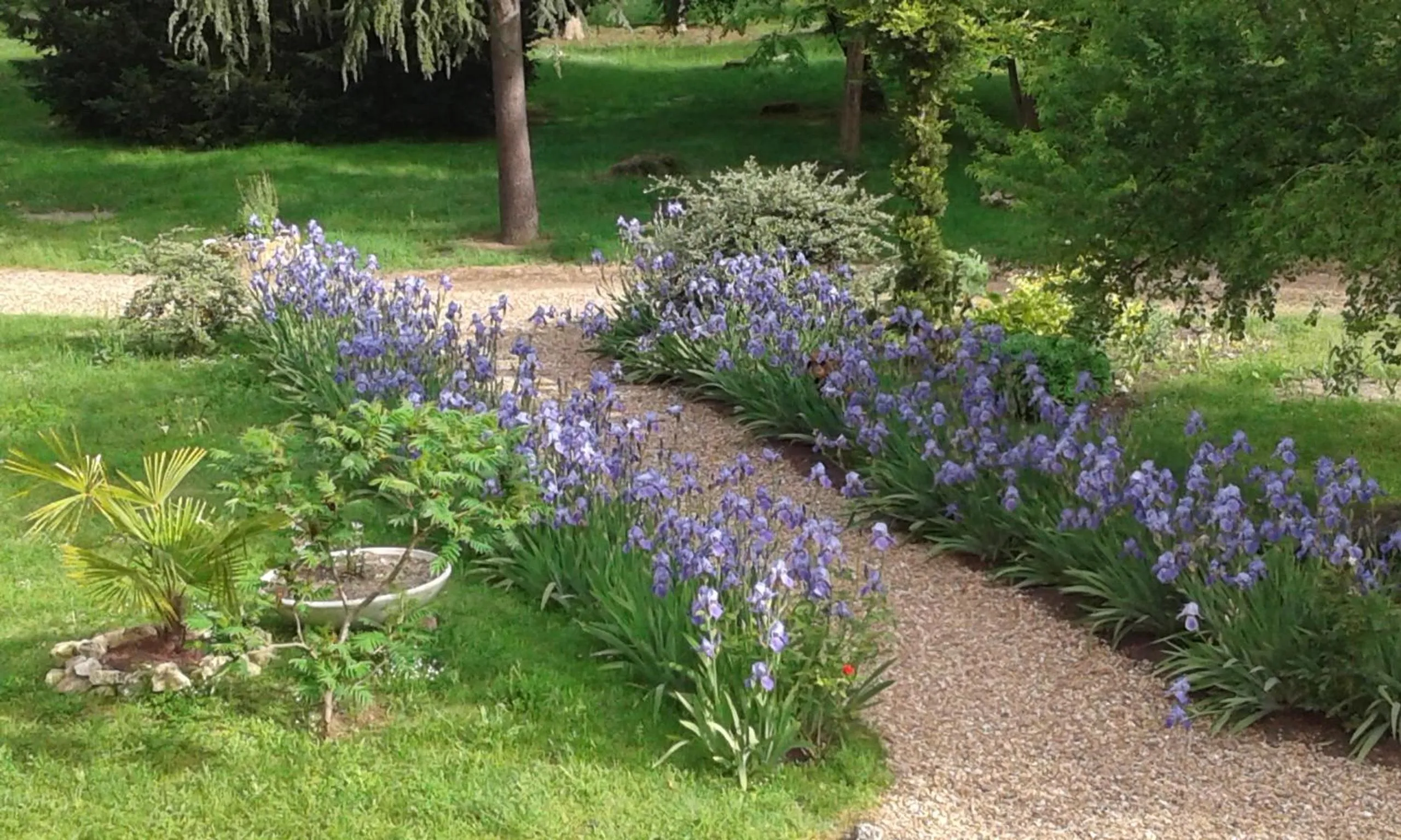 Garden in Hostellerie le Clos du Cher