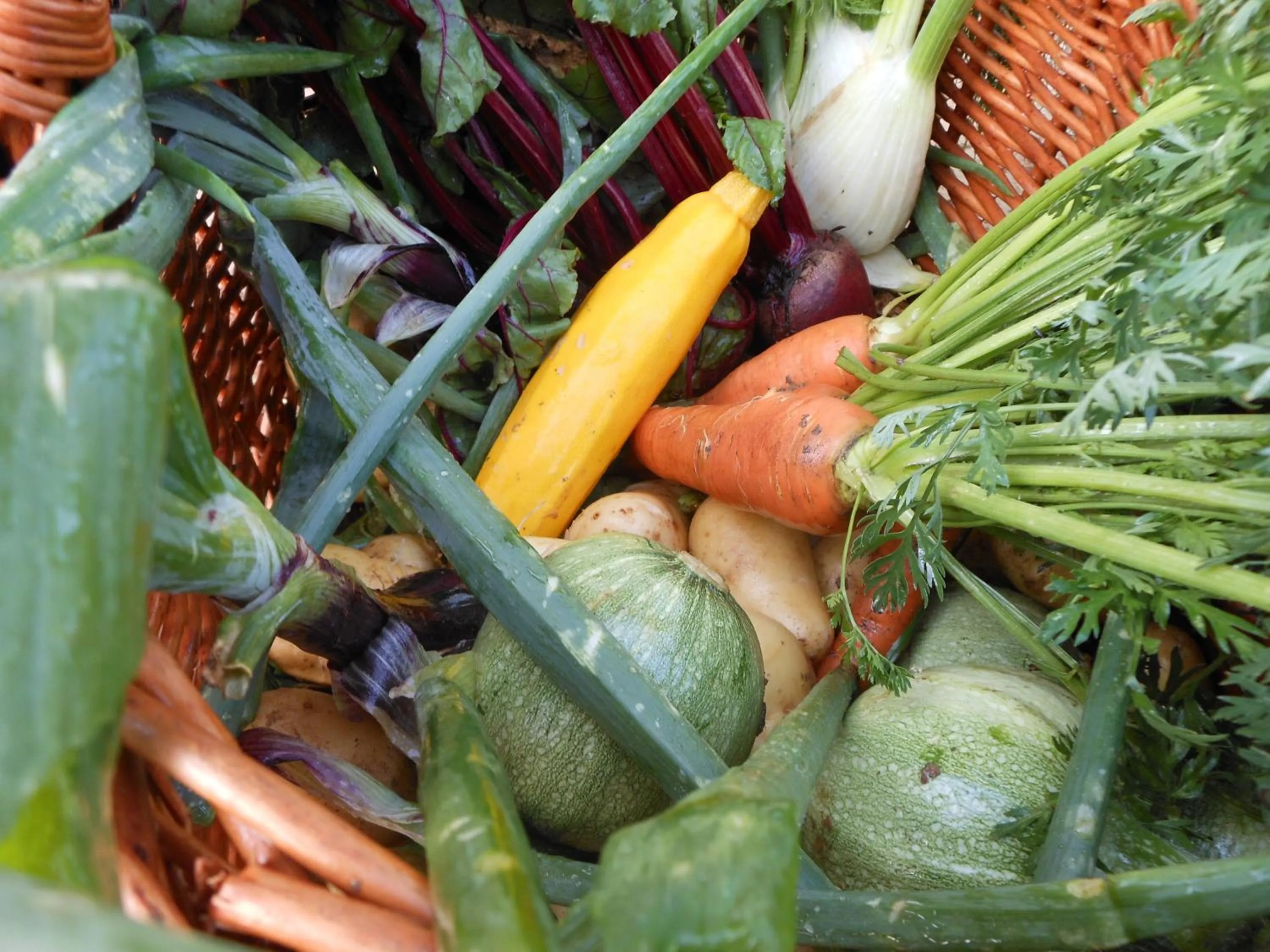 Auberge de la Tuilerie