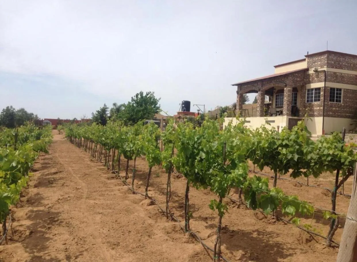 Property building in Finca Chavez