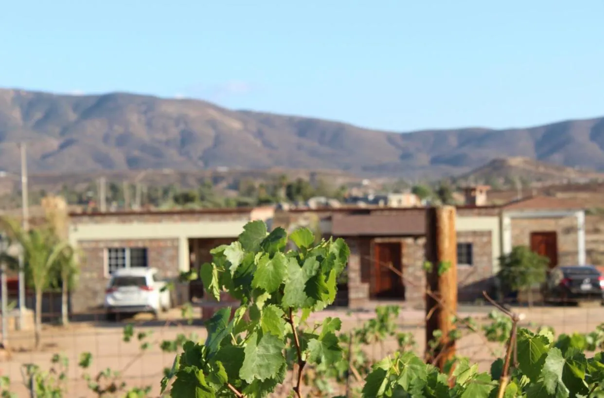 Mountain view in Finca Chavez