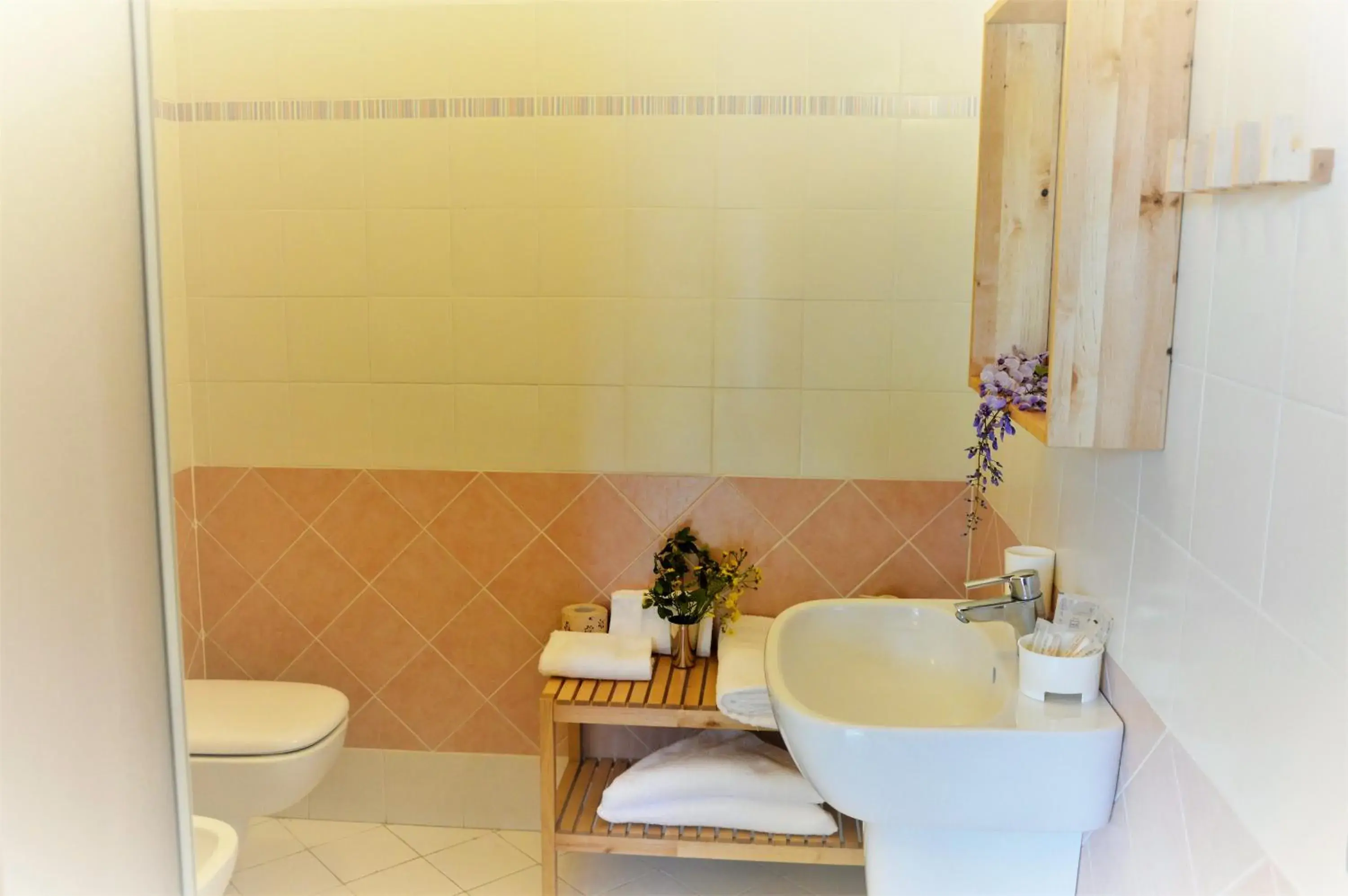 Double Room in Baia Etrusca Resort Double Room in Baia Etrusca Resort
