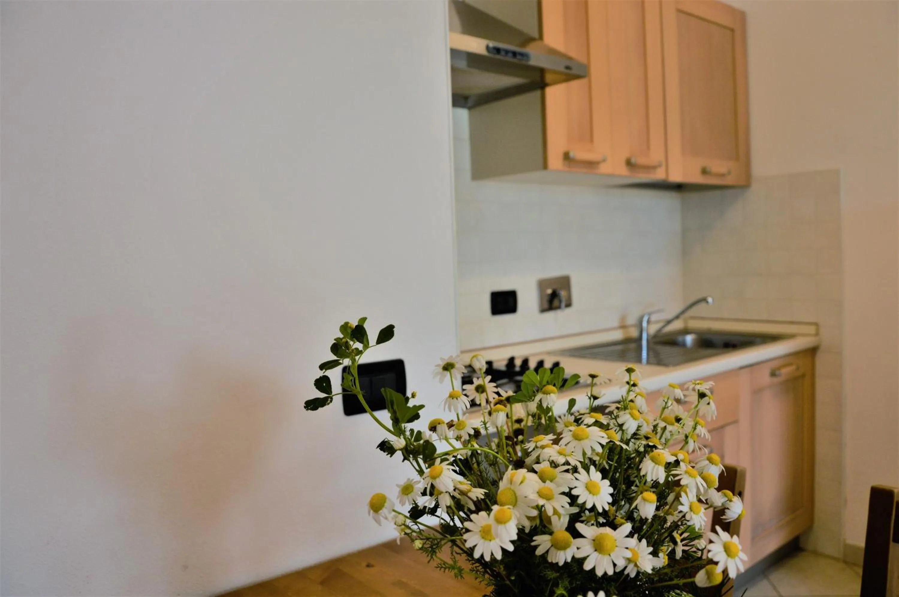 Kitchen or kitchenette in Baia Etrusca Resort