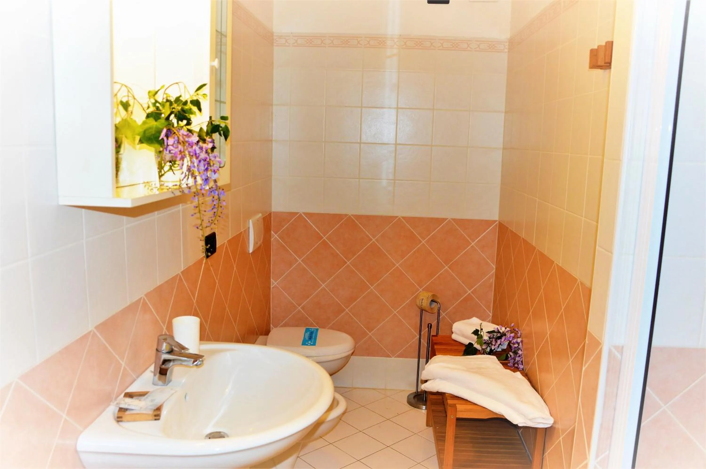 Toilet in Baia Etrusca Resort