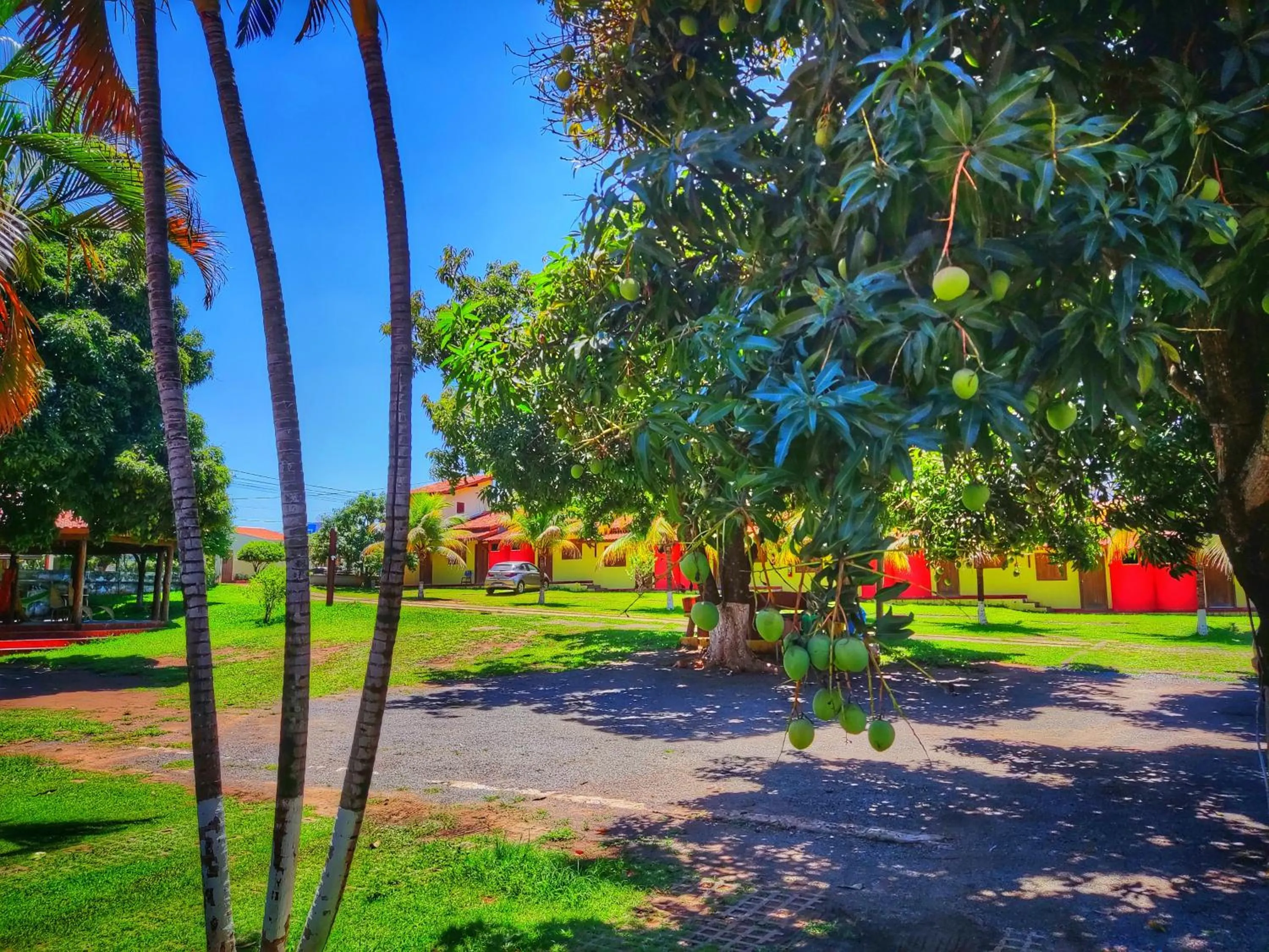 Garden in Pousada Voo das Garças