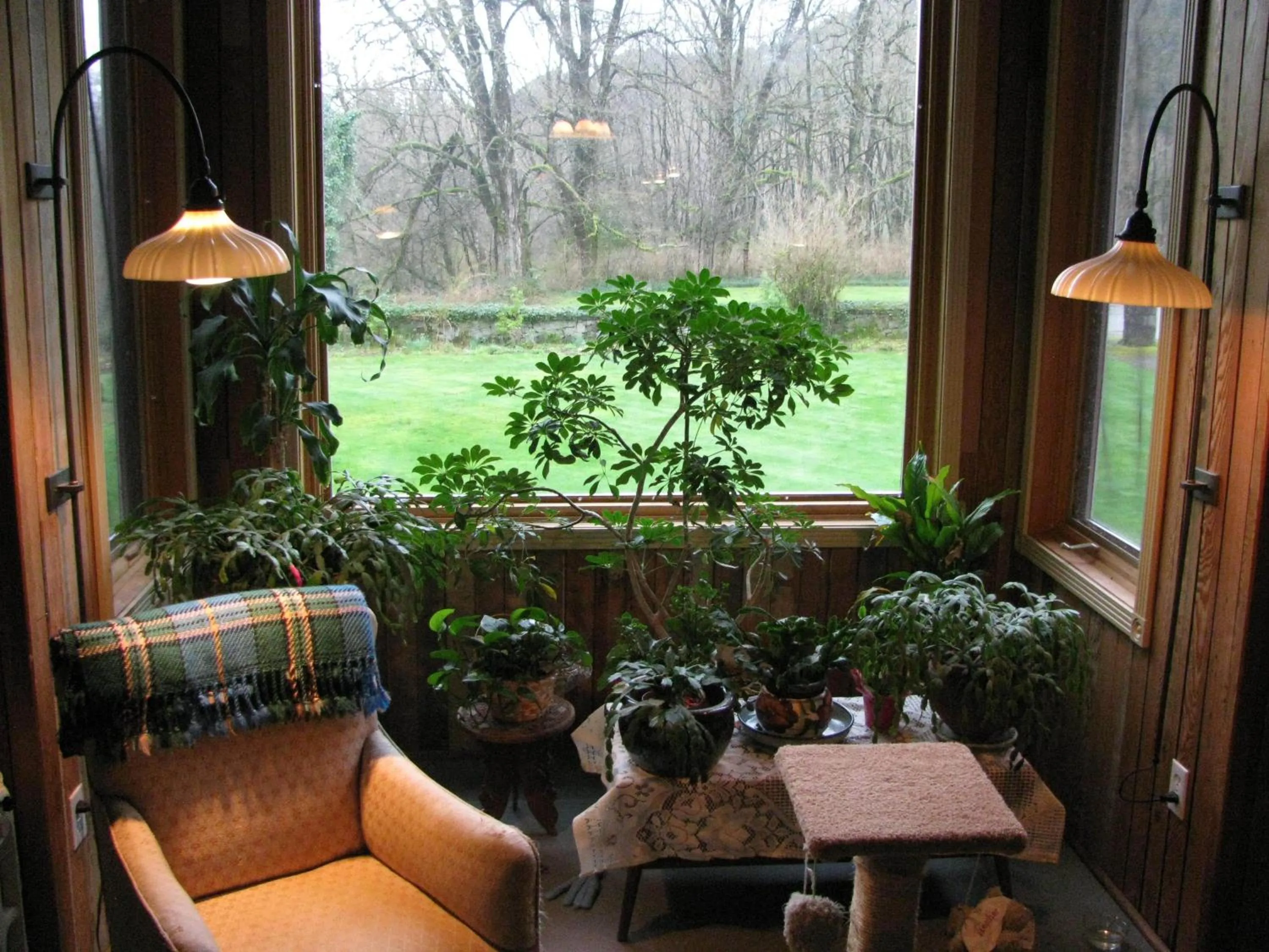 Seating area in Sasquatch Crossing Eco Lodge B&B