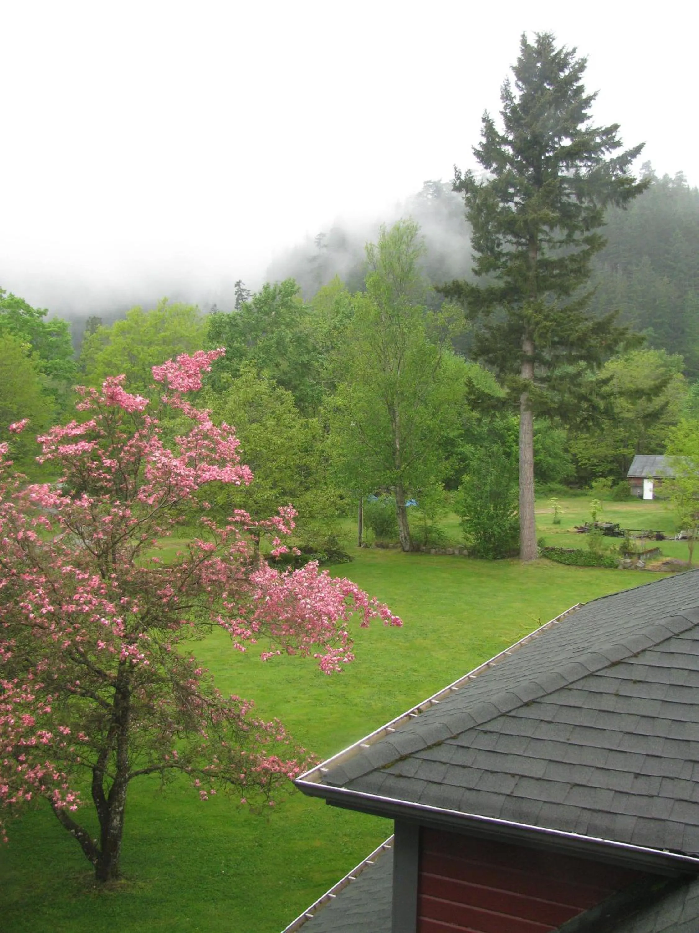 Mountain view in Sasquatch Crossing Eco Lodge B&B