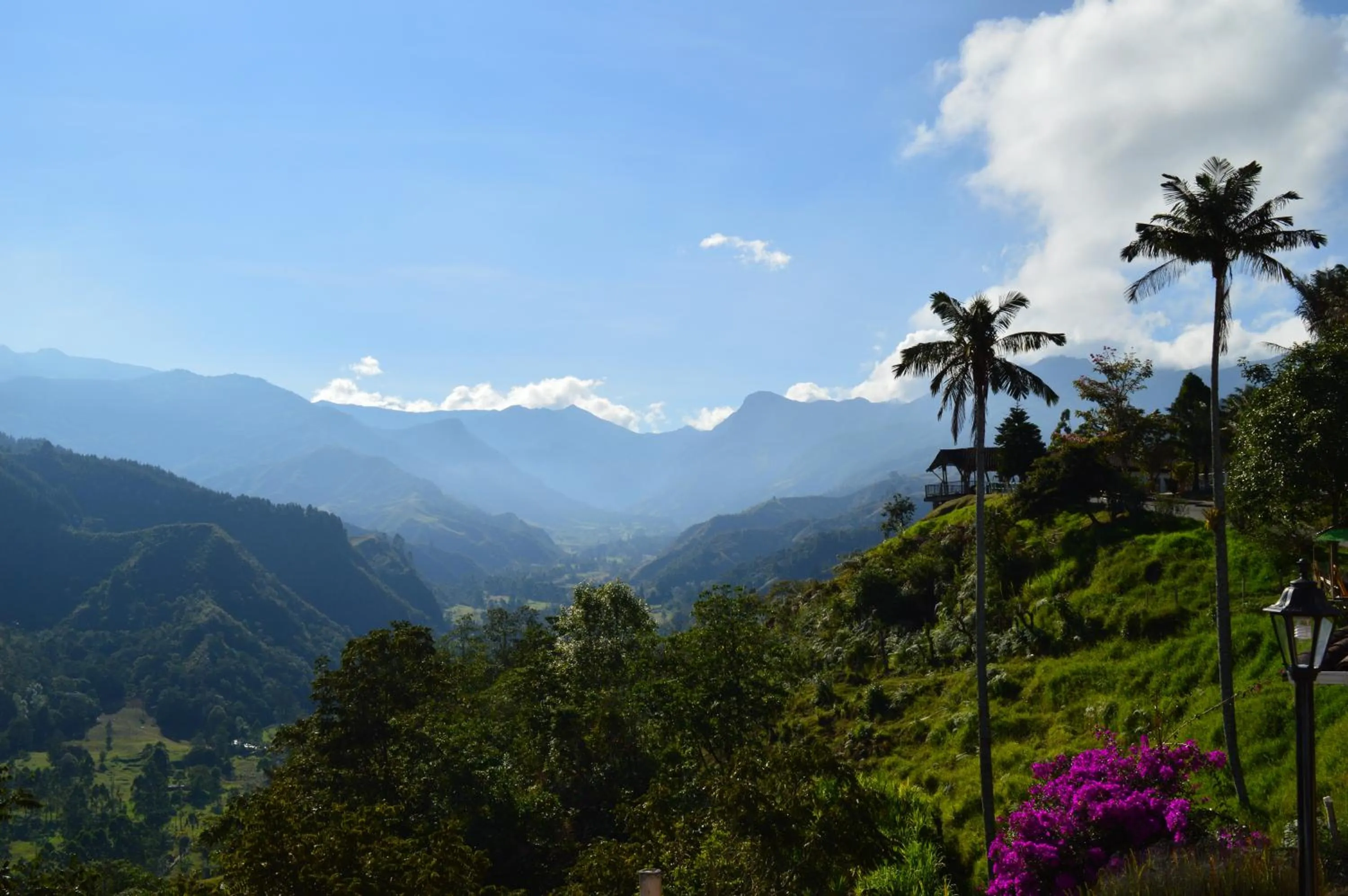 View (from property/room) in Hotel El Mirador del Cocora