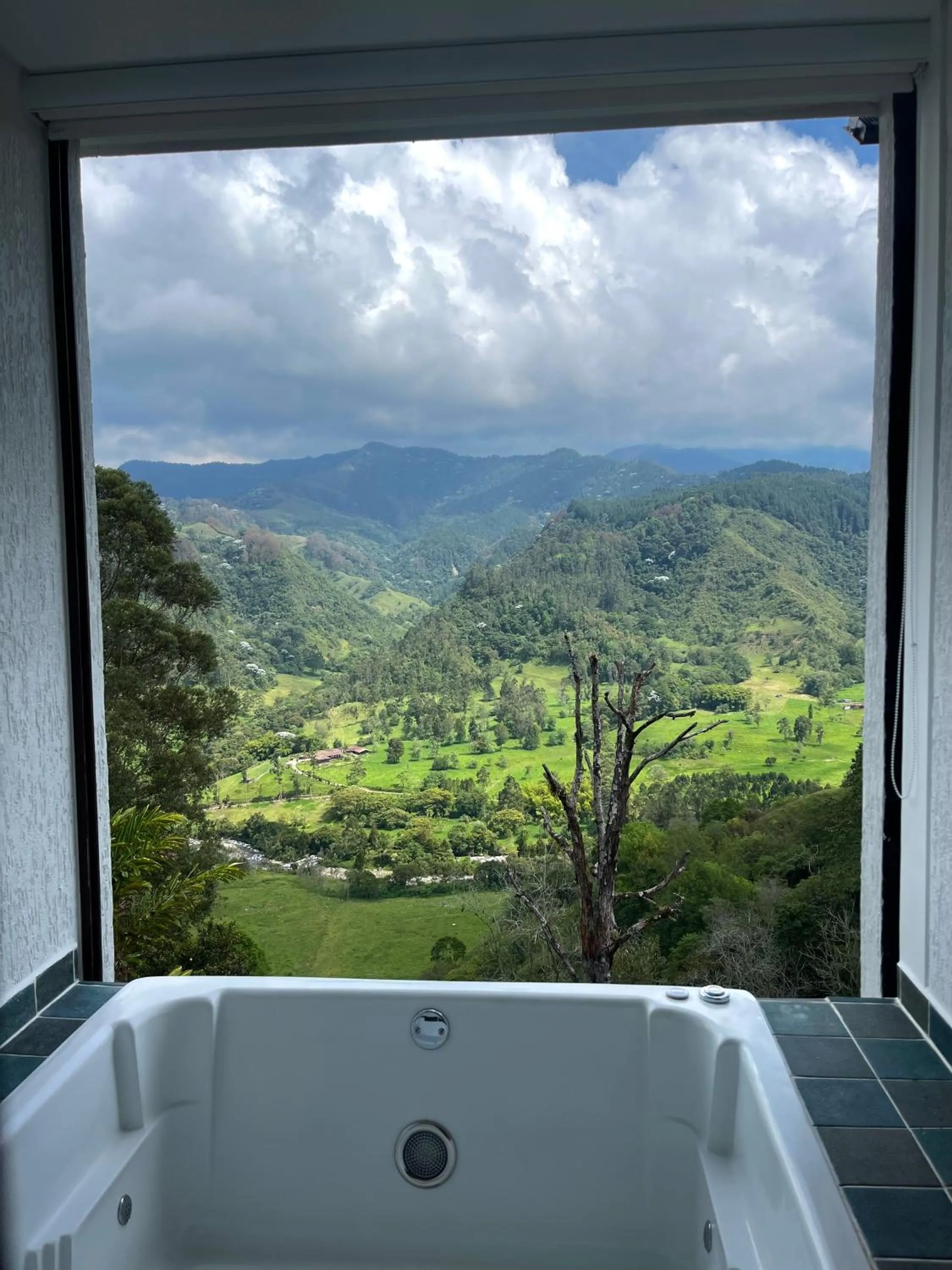 Mountain view in Hotel El Mirador del Cocora