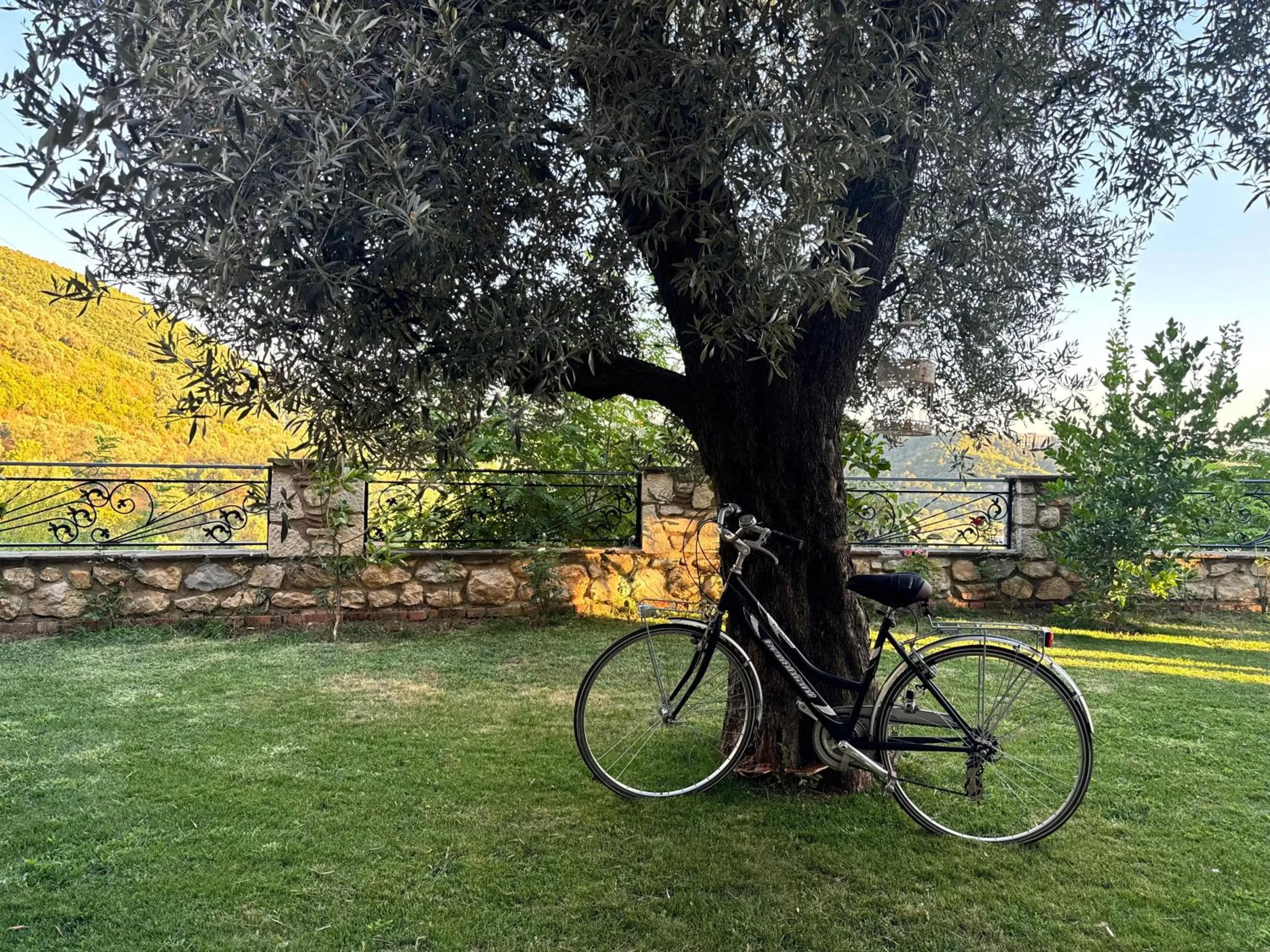 Day in Chateau Fasel