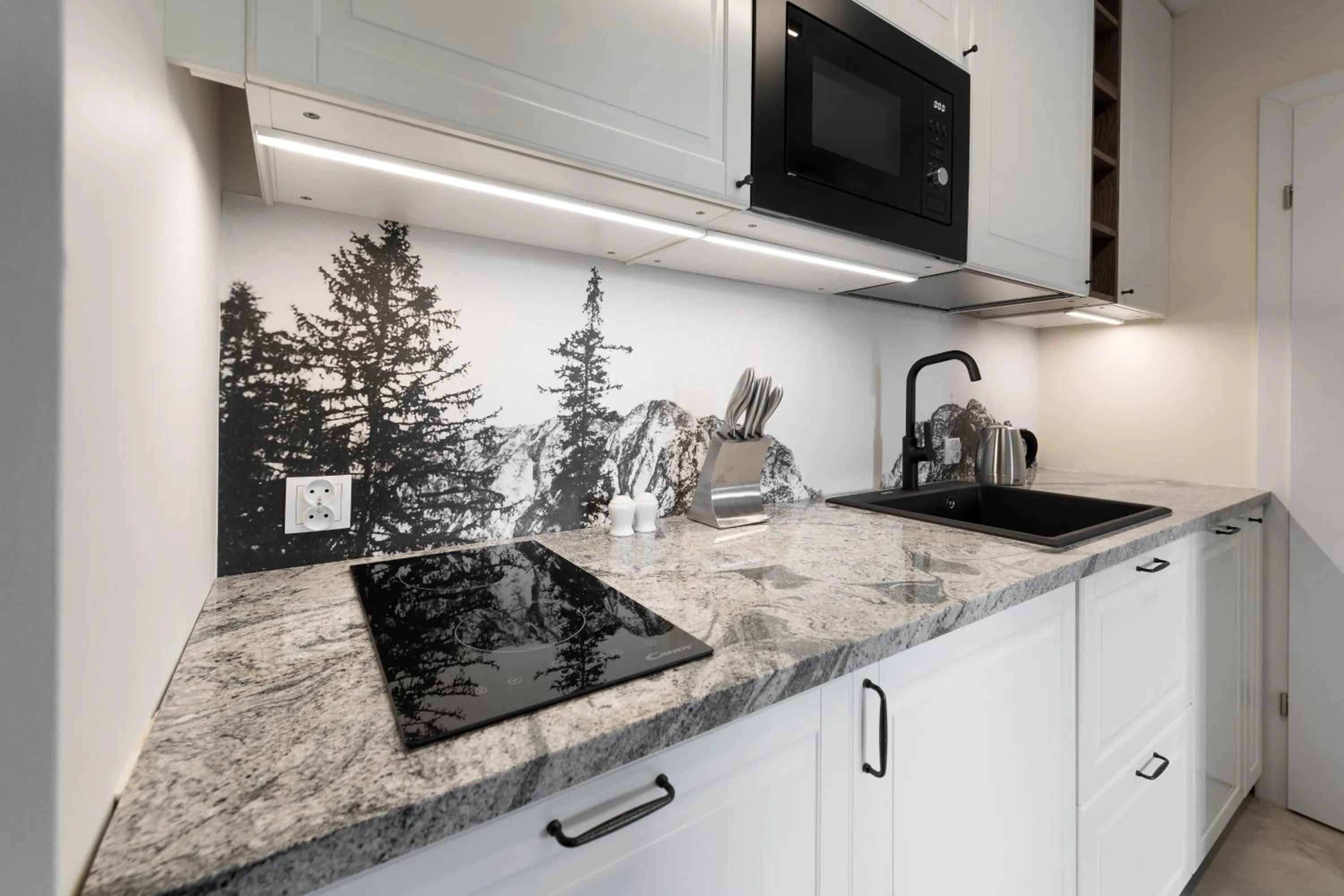 Kitchen or kitchenette in Willa Regle