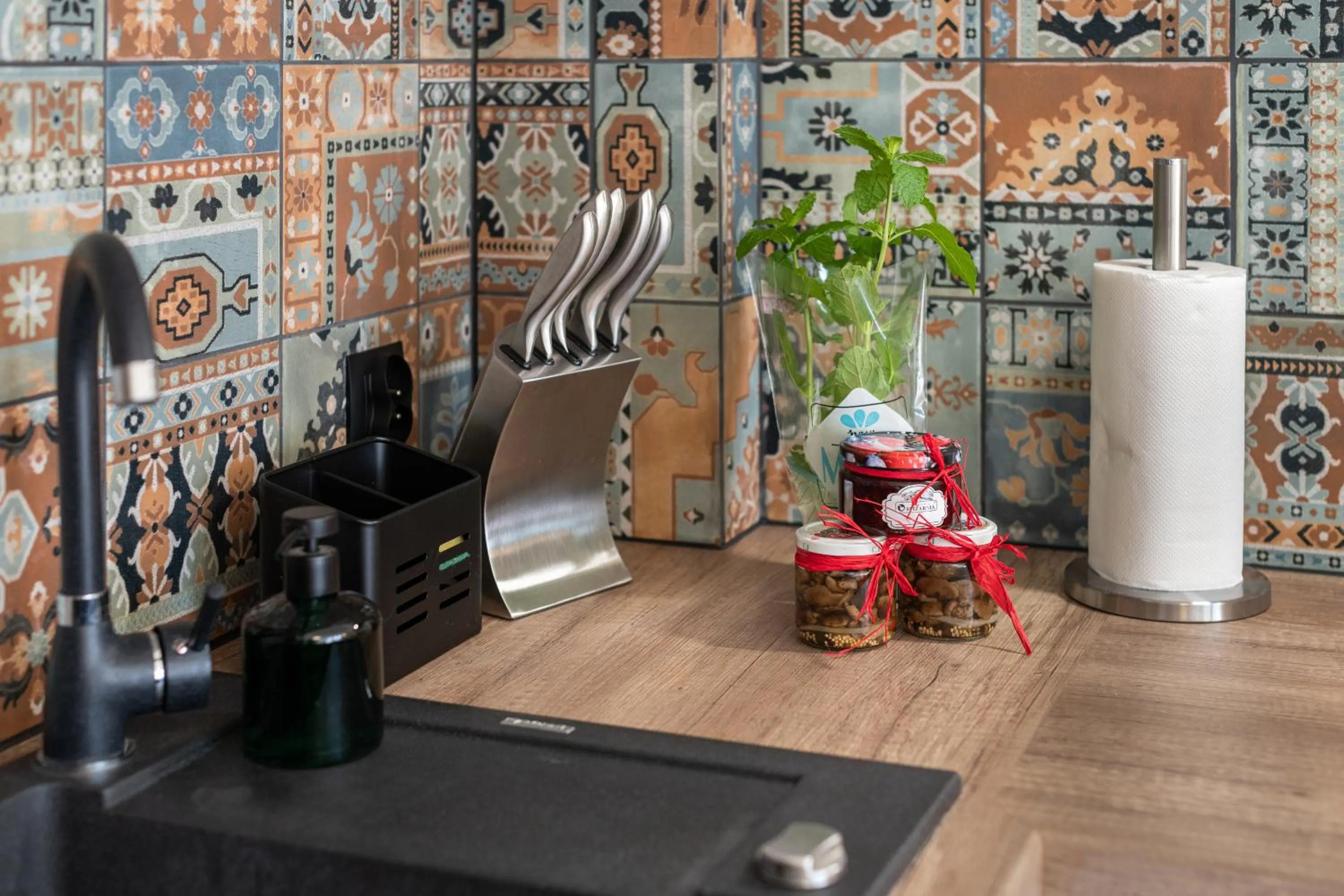 Kitchen or kitchenette in Willa Regle