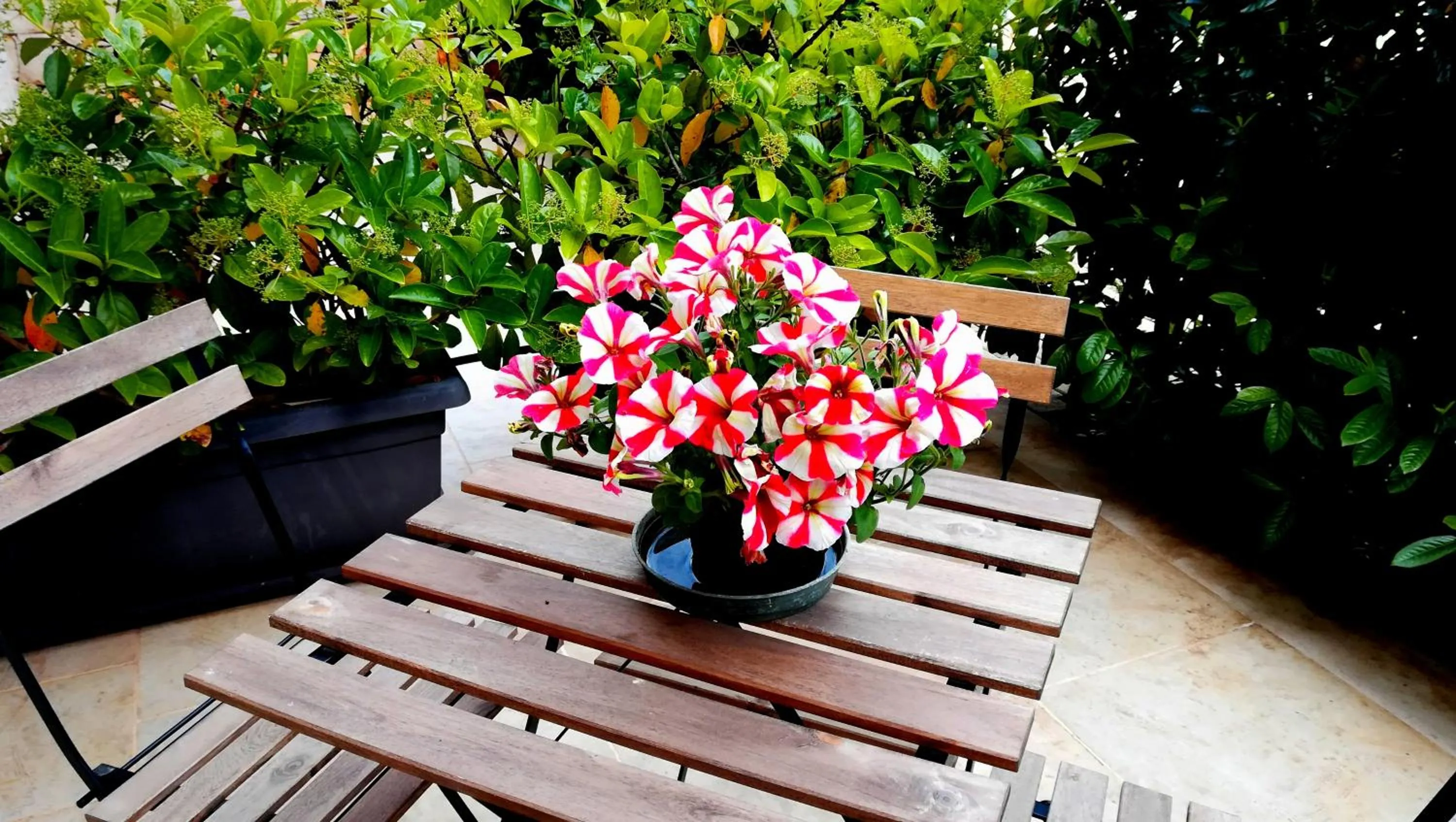 Patio in Eremo del Dottó