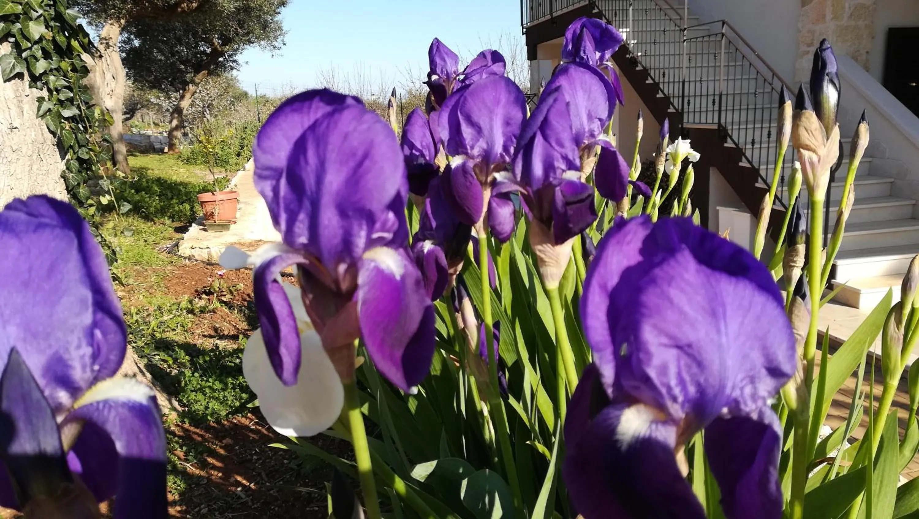 Spring in Eremo del Dottó