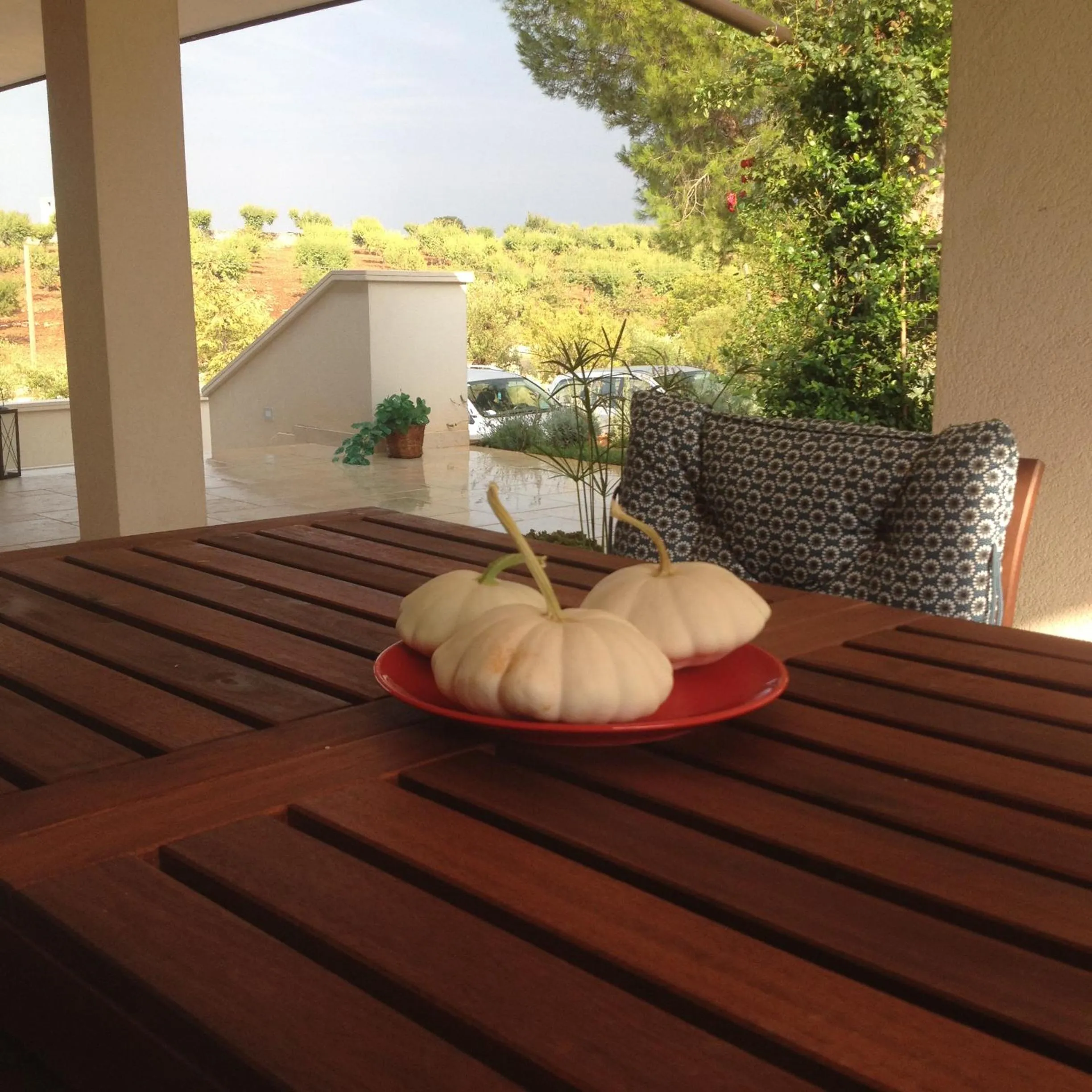 View (from property/room) in Eremo del Dottó
