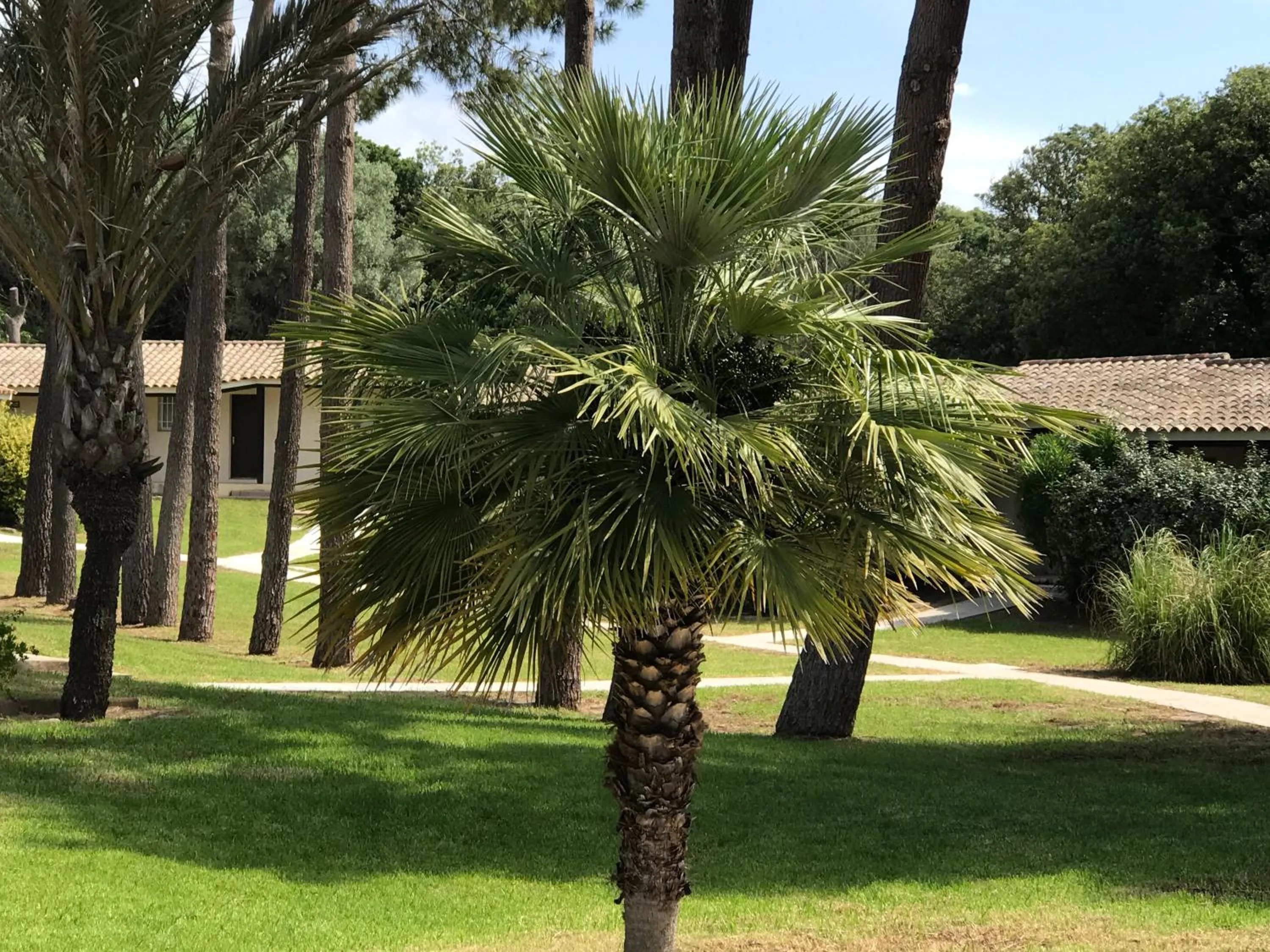 Garden in Prea Gianca